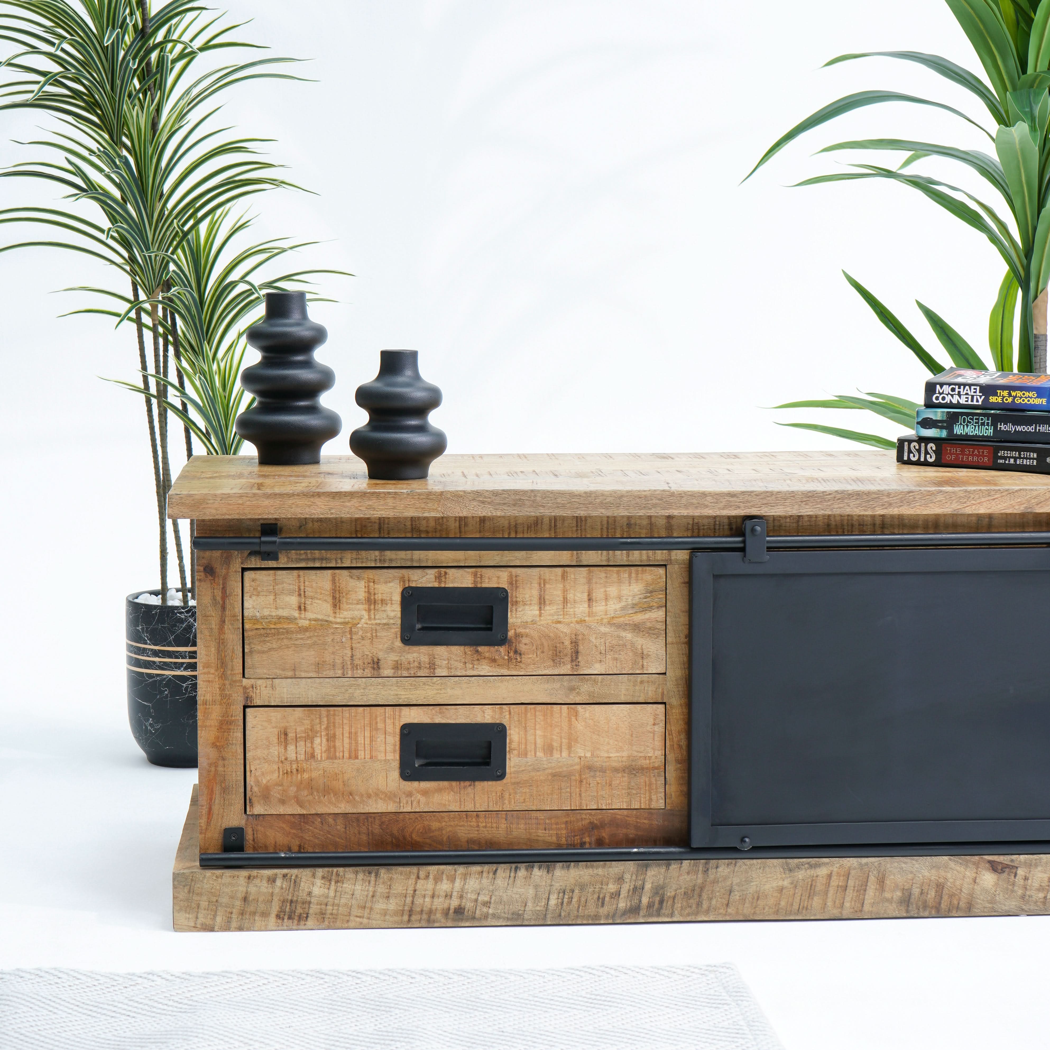 RAWDEN TWO DRAWER ONE DOOR TV STAND - Art and craft furniture