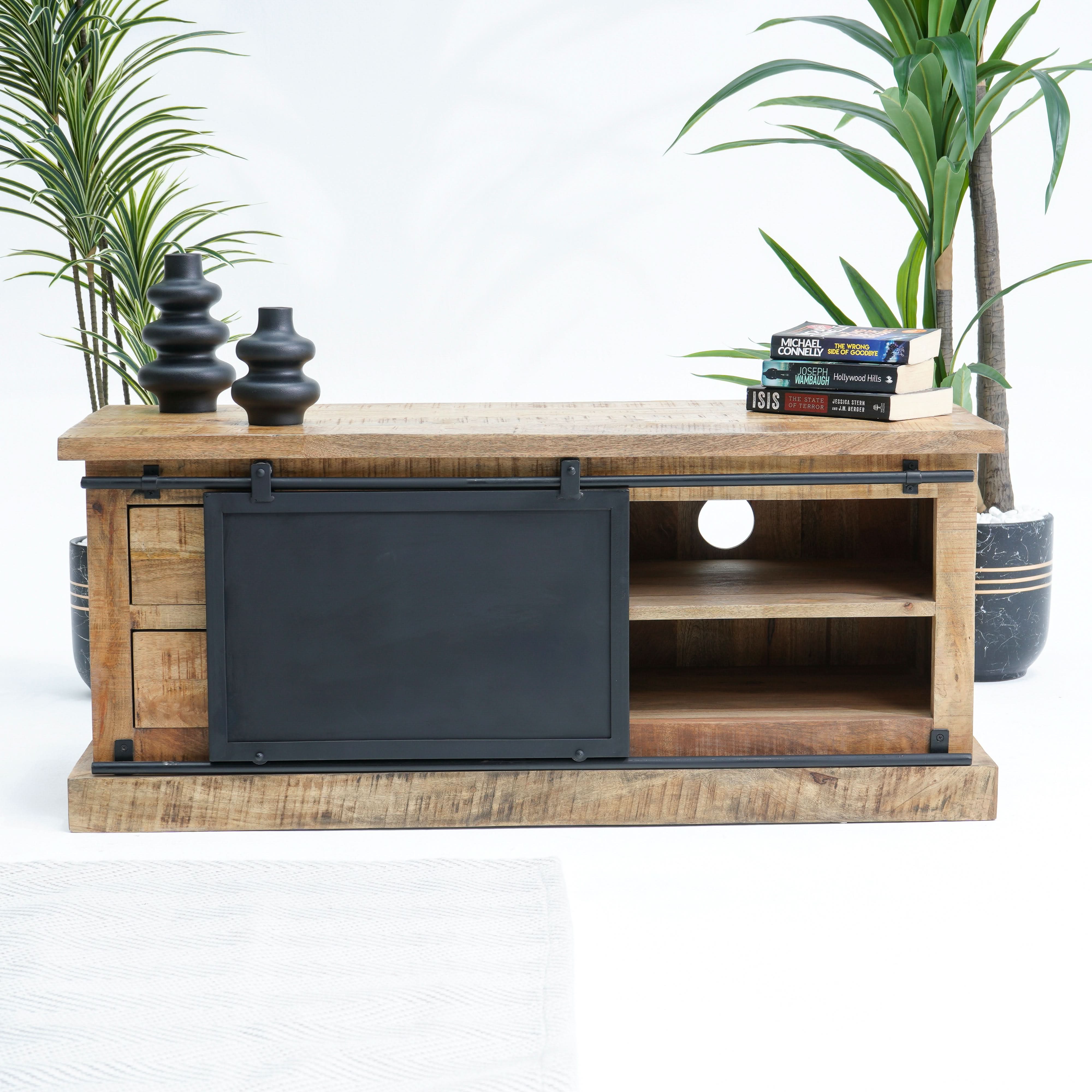 RAWDEN TWO DRAWER ONE DOOR TV STAND - Art and craft furniture
