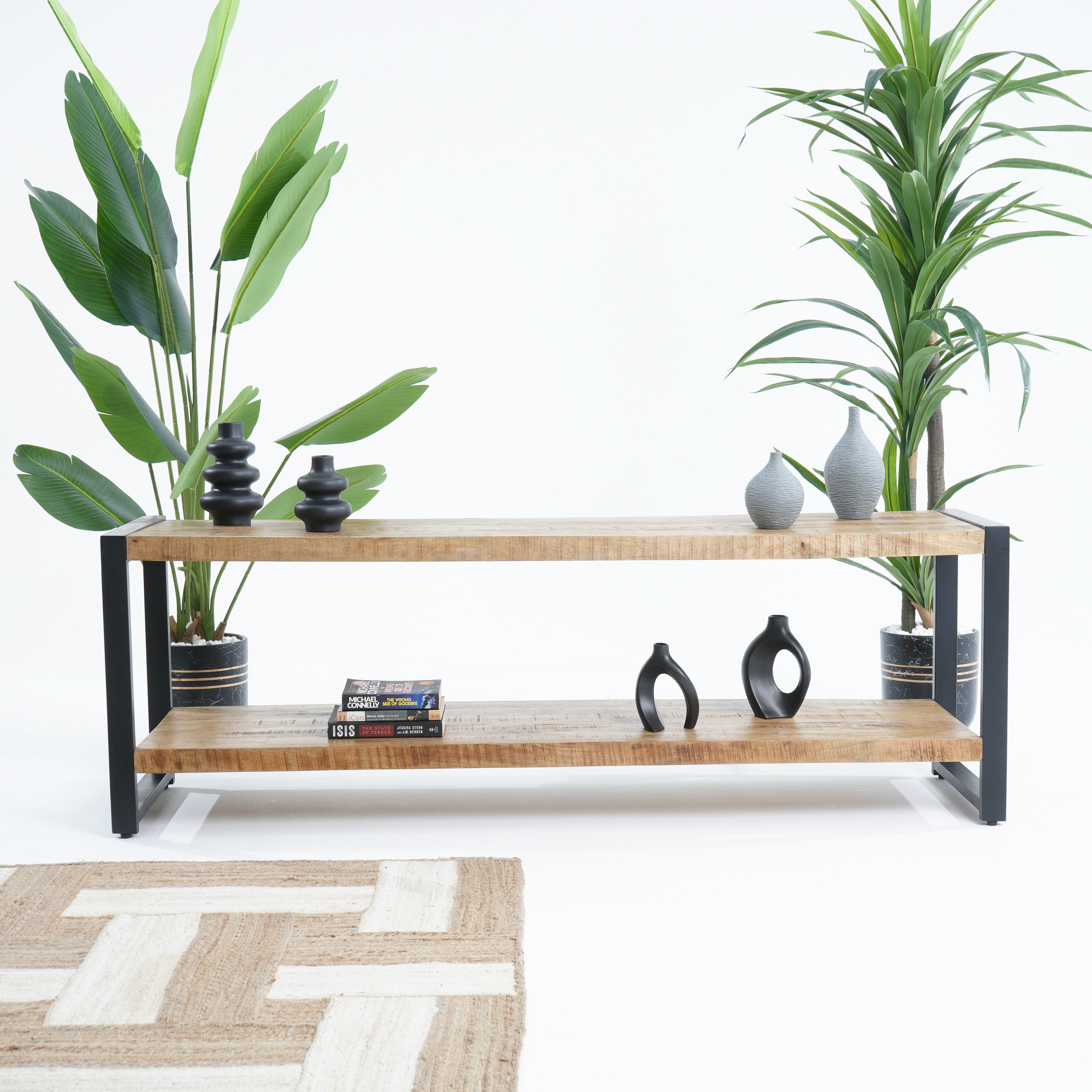 Turin Tv Console
