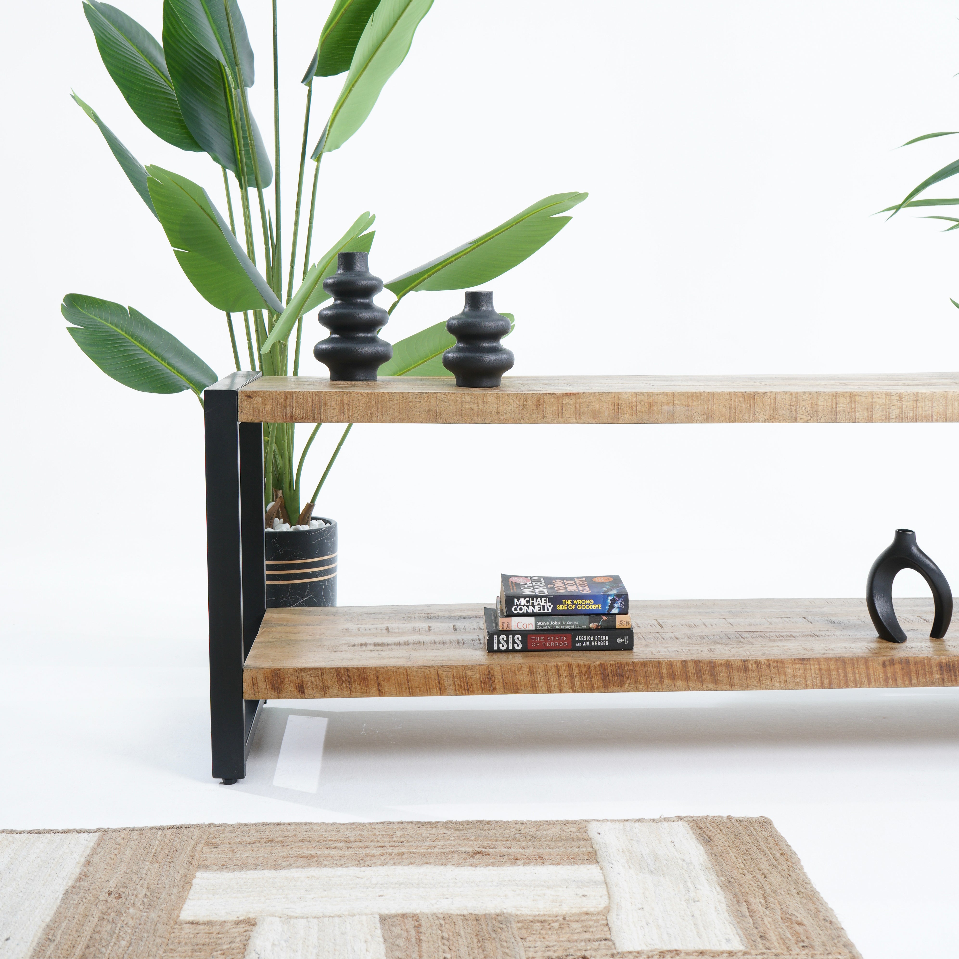 Turin Tv Console