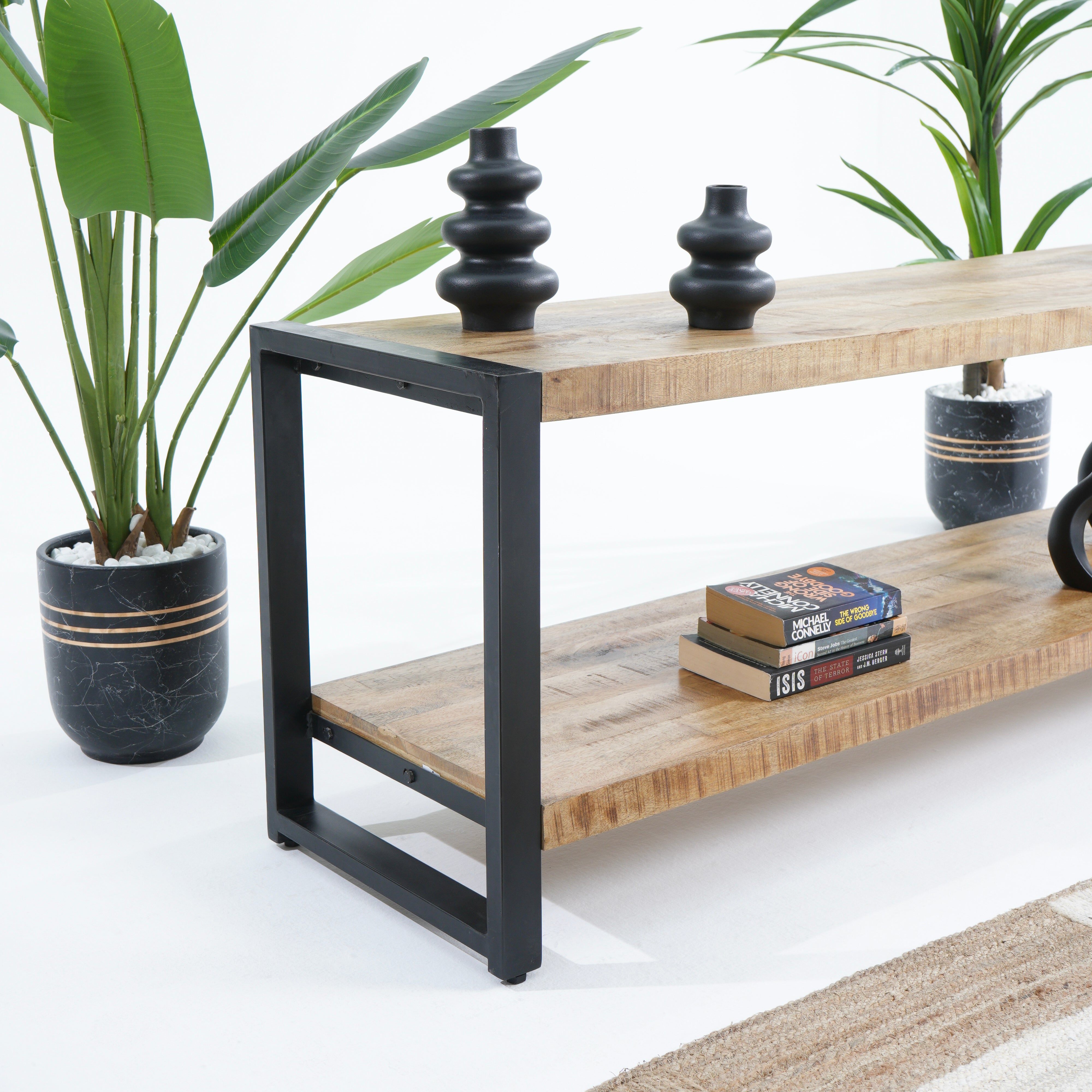 Turin Tv Console