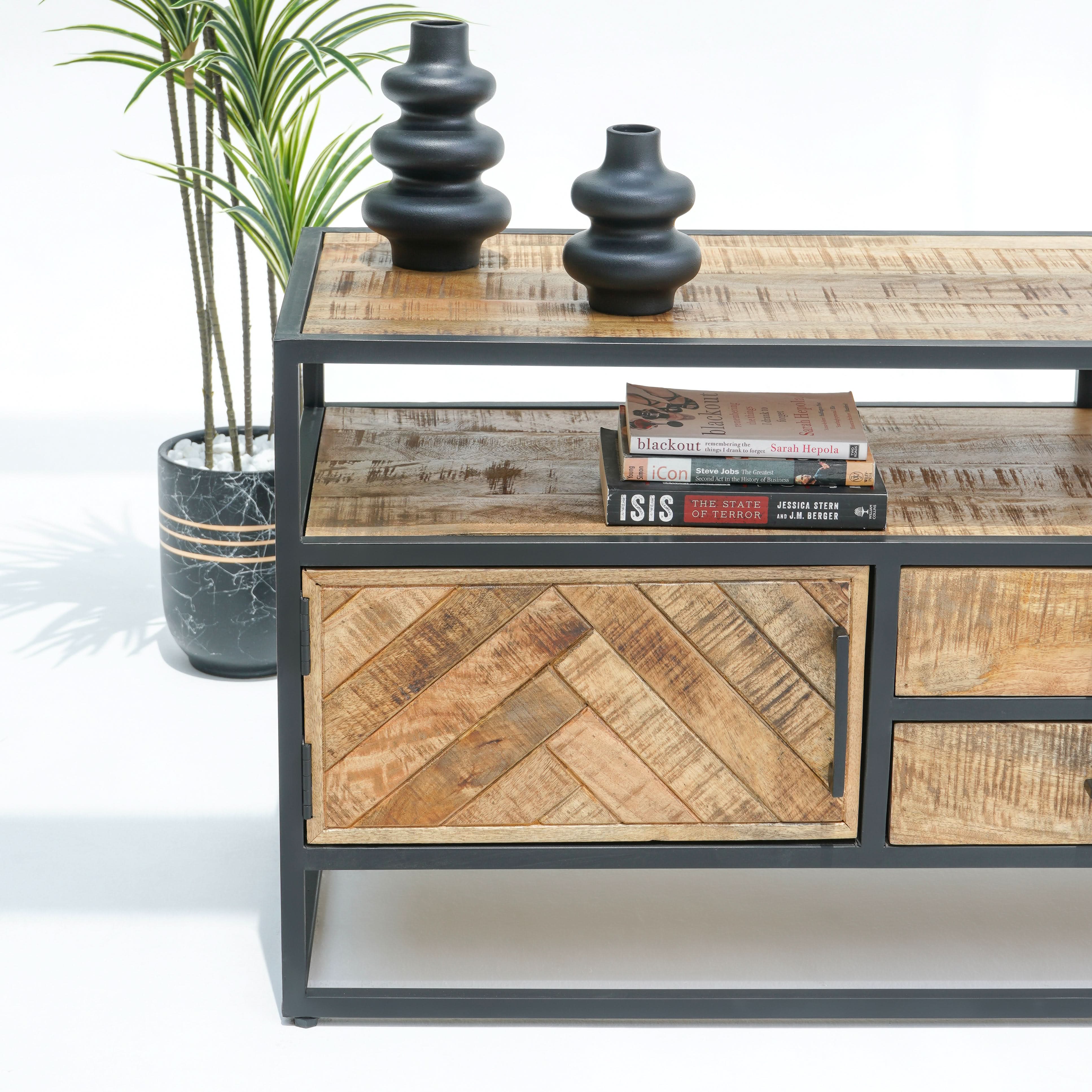 LINEA TWO DRAWER TWO DOOR TV STAND - Art and craft furniture