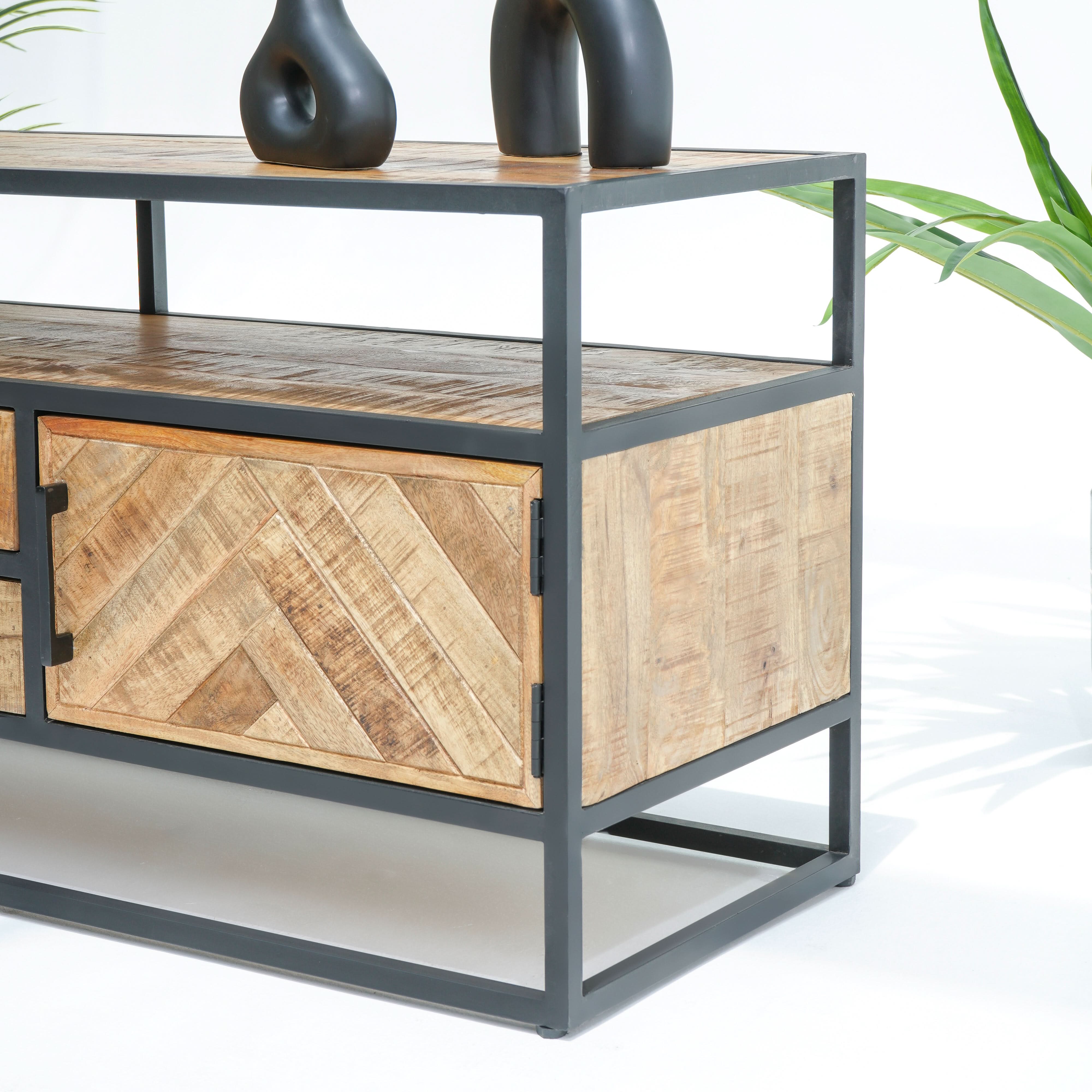 LINEA TWO DRAWER TWO DOOR TV STAND - Art and craft furniture