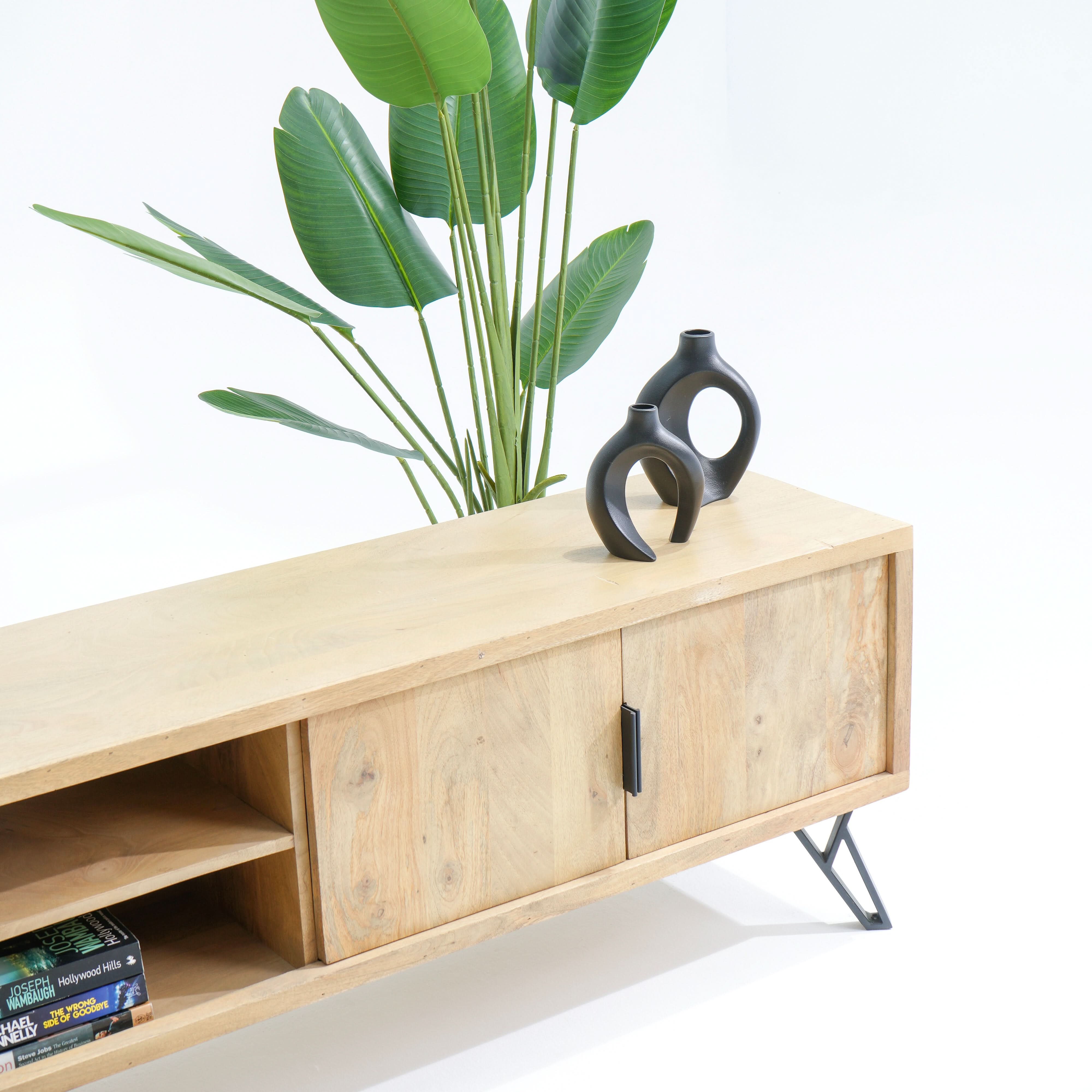 AVENUE TWO DOOR TWO DRAWER TV STAND - Art and craft furniture