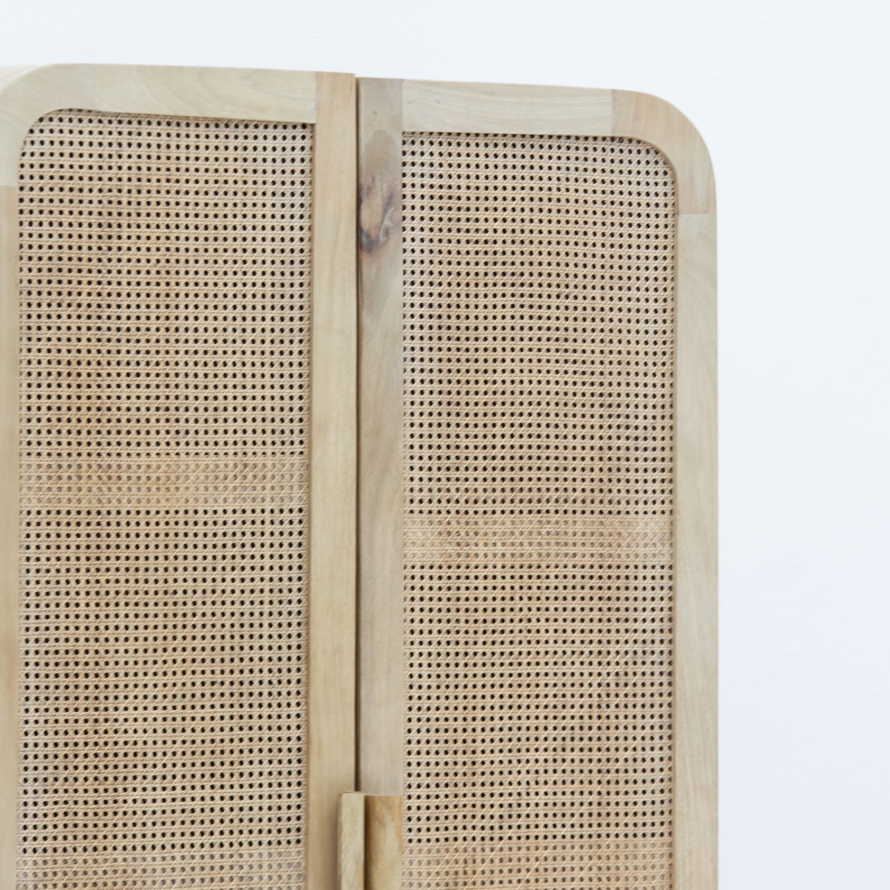 CANOVA RATTAN TWO DOOR CABINET - Art and craft furniture