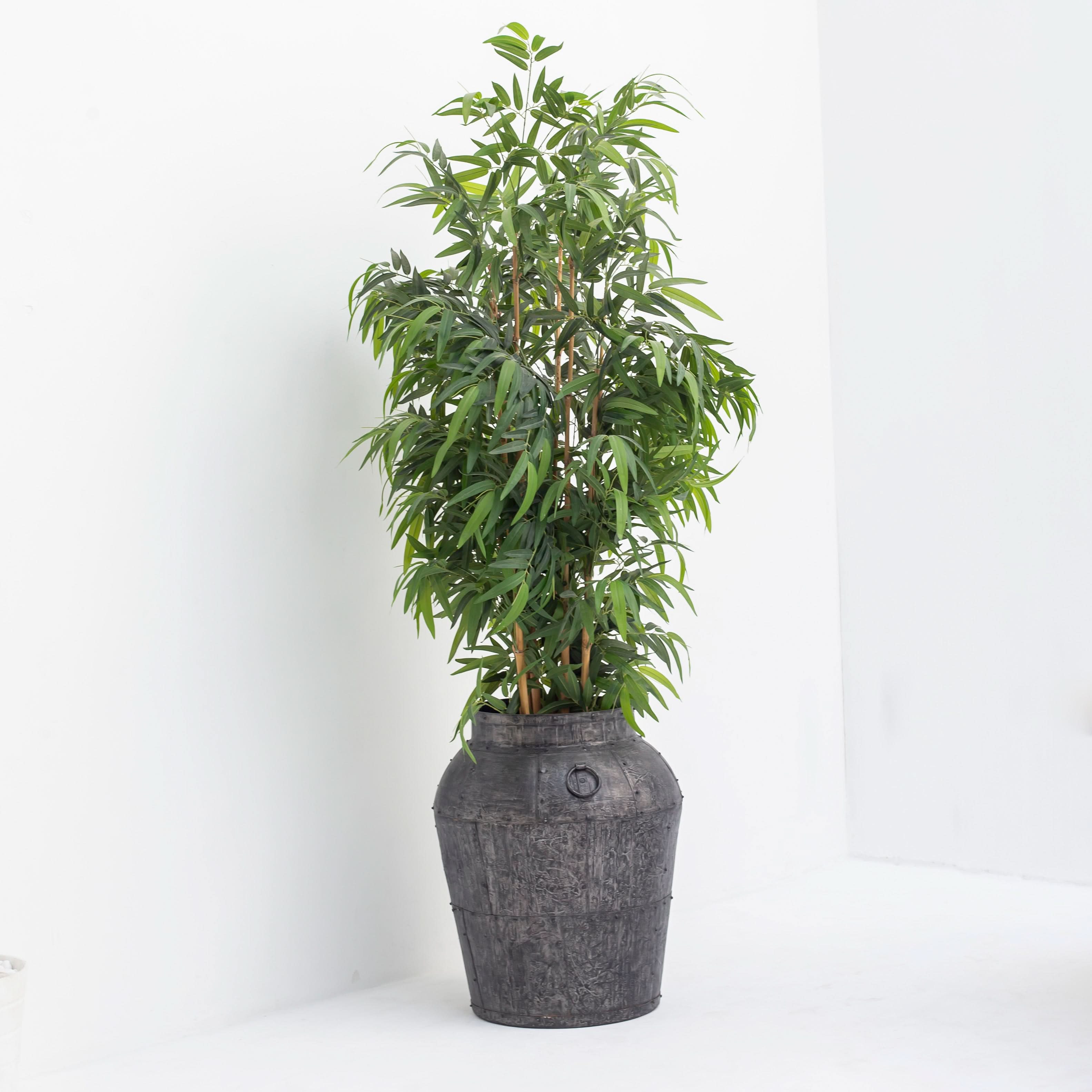 ANTIQUE AURA POT - Art and craft furniture