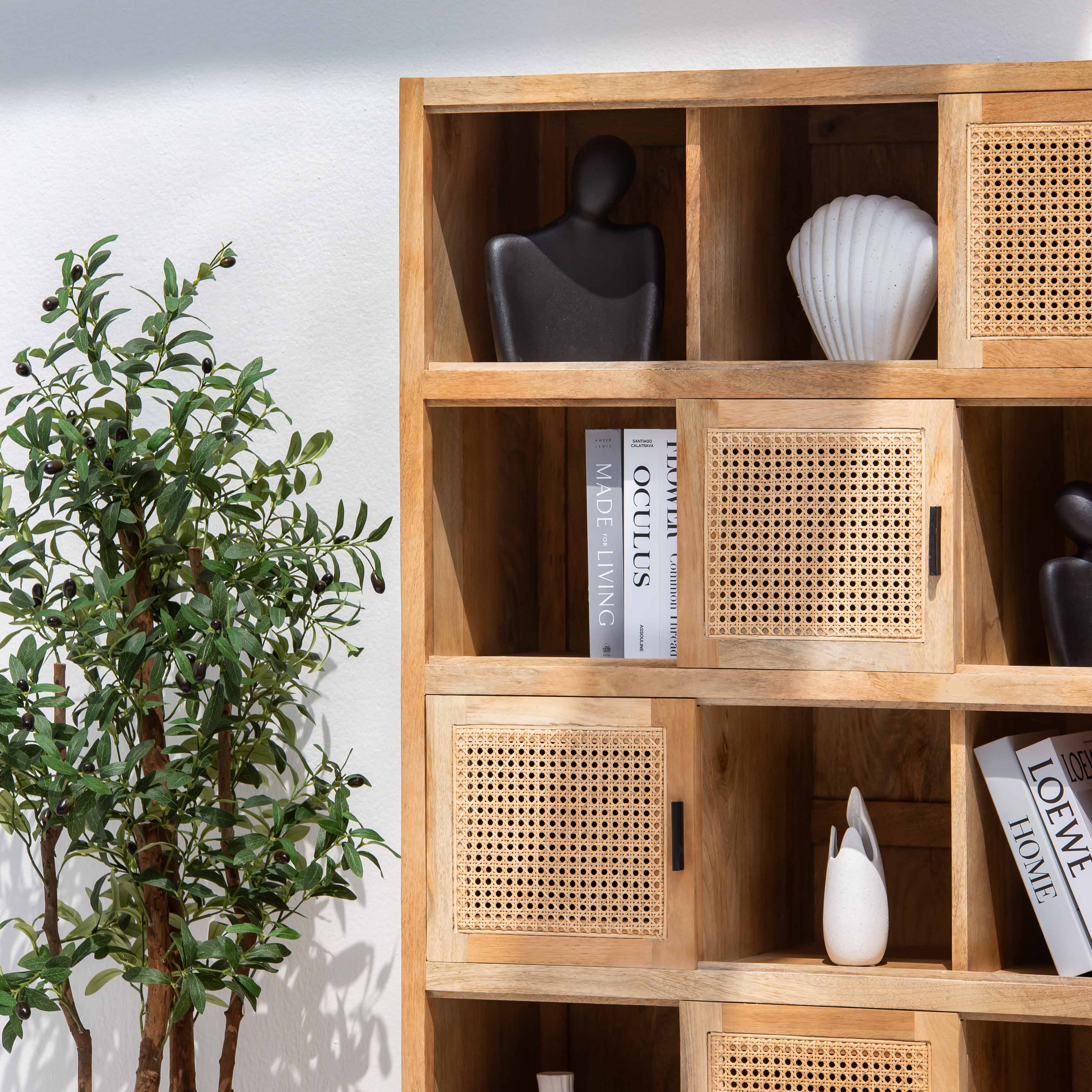 CANOVIA CANE FIVE DOOR BOOKSHELF - Art and craft furniture