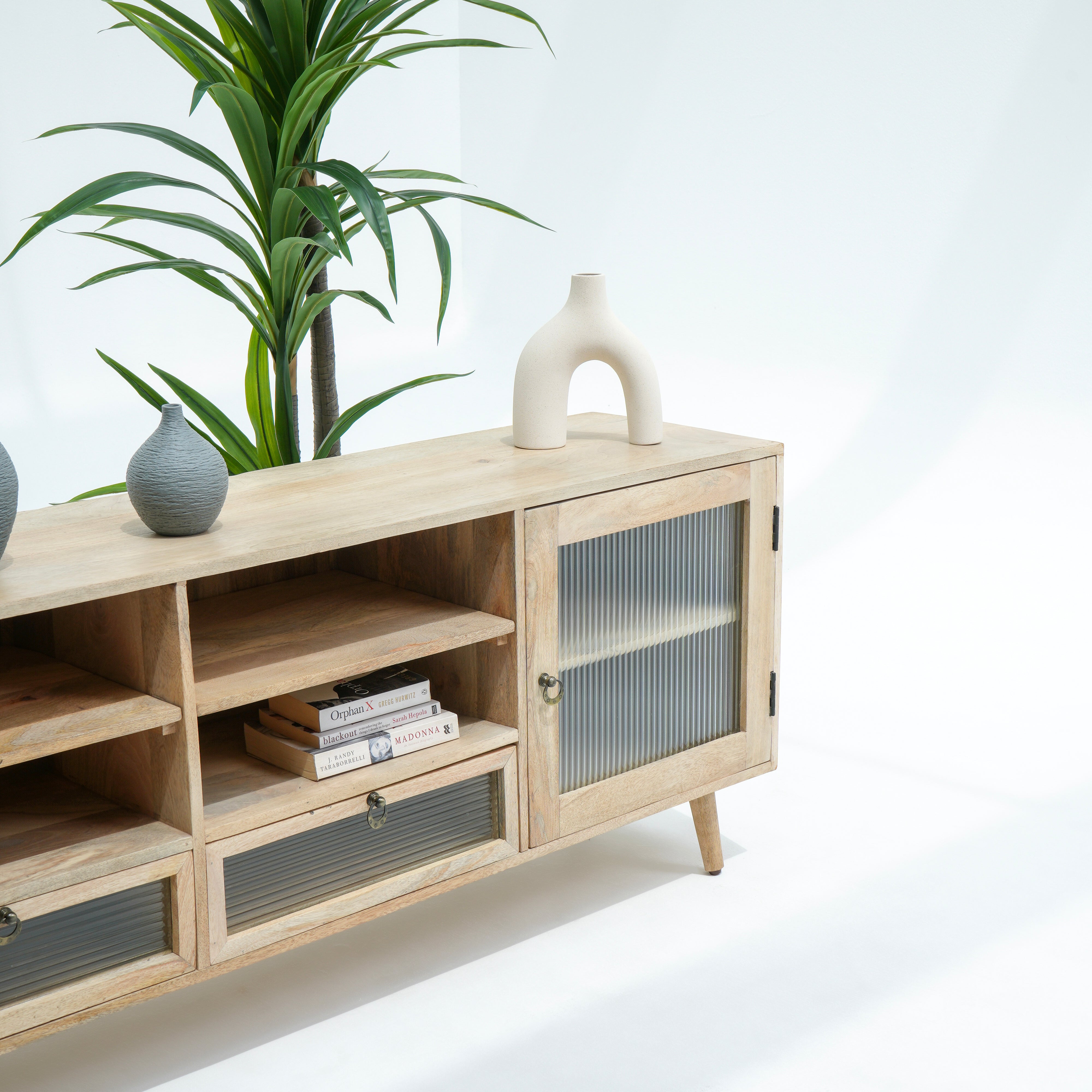 Lyon Glass door and drawer Tv stand