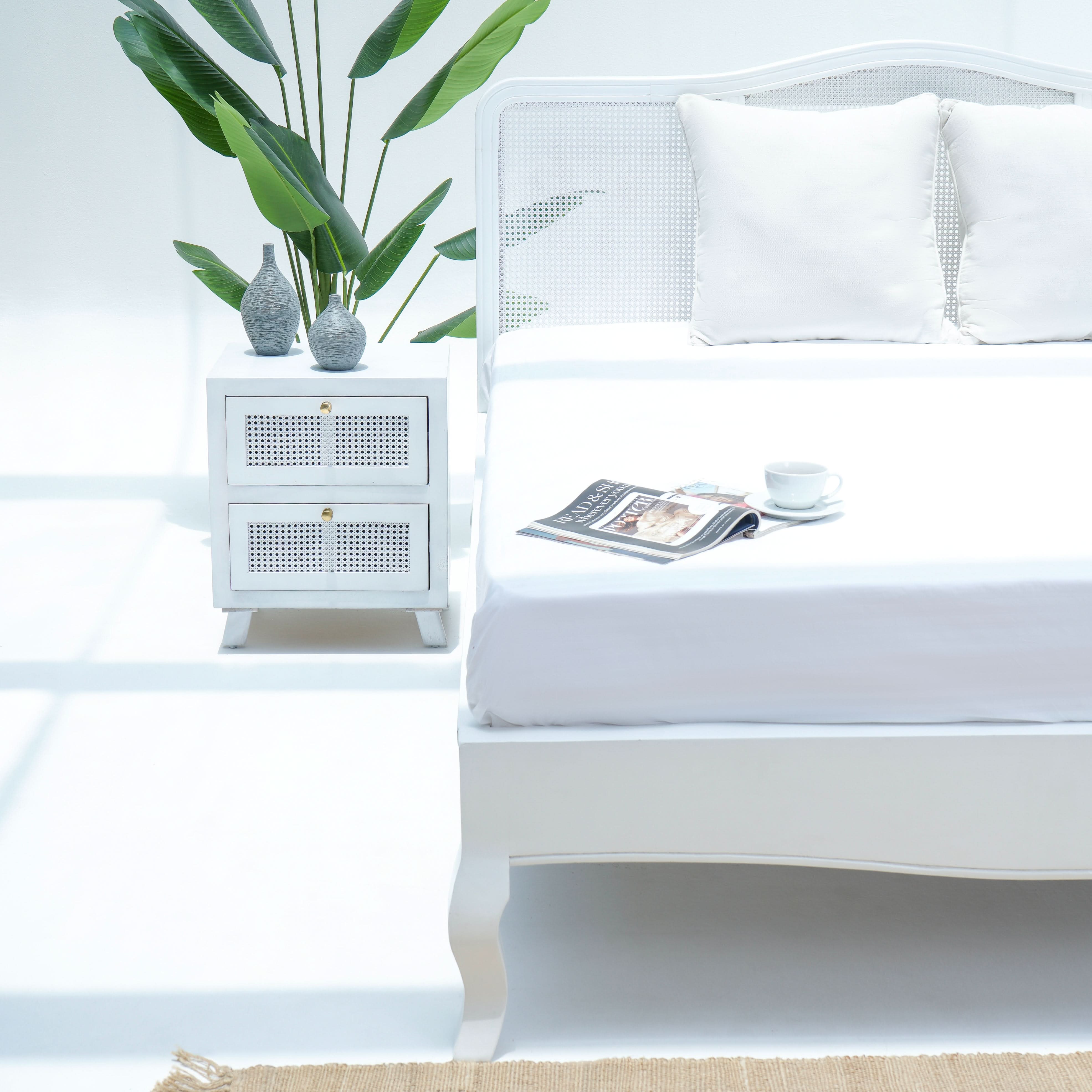 CANOVIA CANE WHITE WASH BED - Art and craft furniture