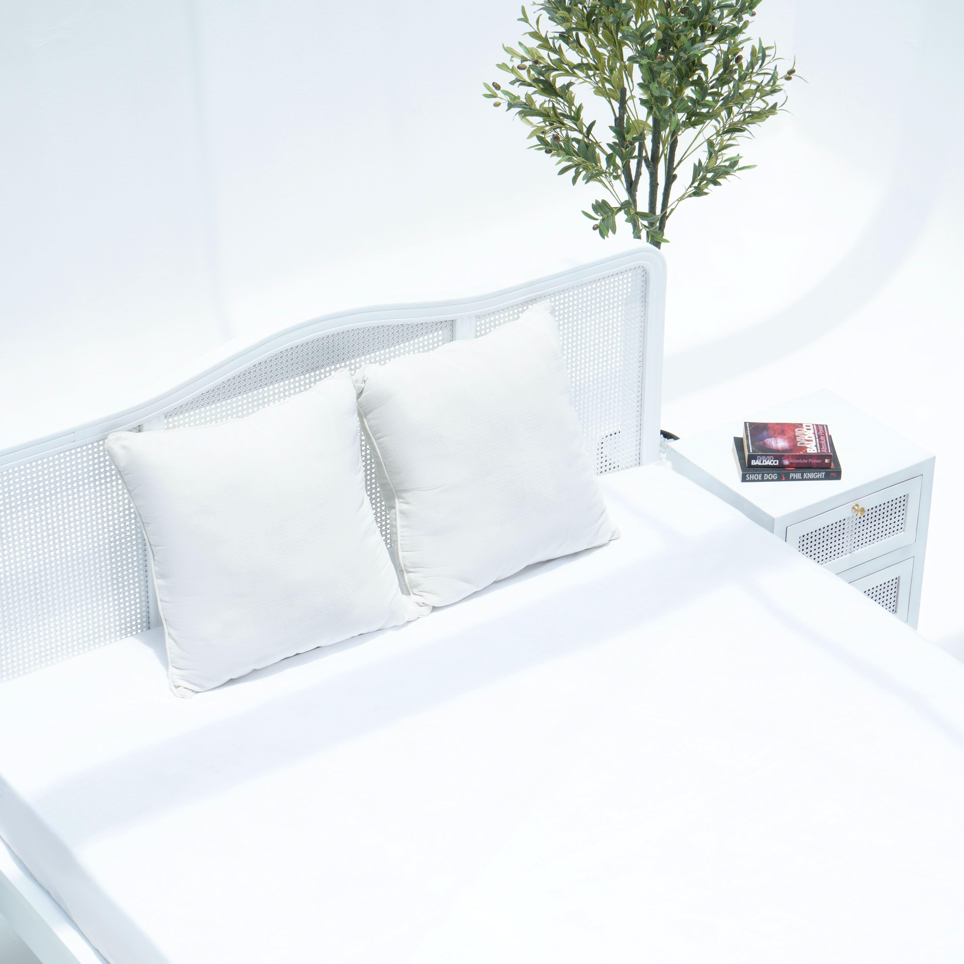 CANOVIA CANE WHITE WASH BED - Art and craft furniture