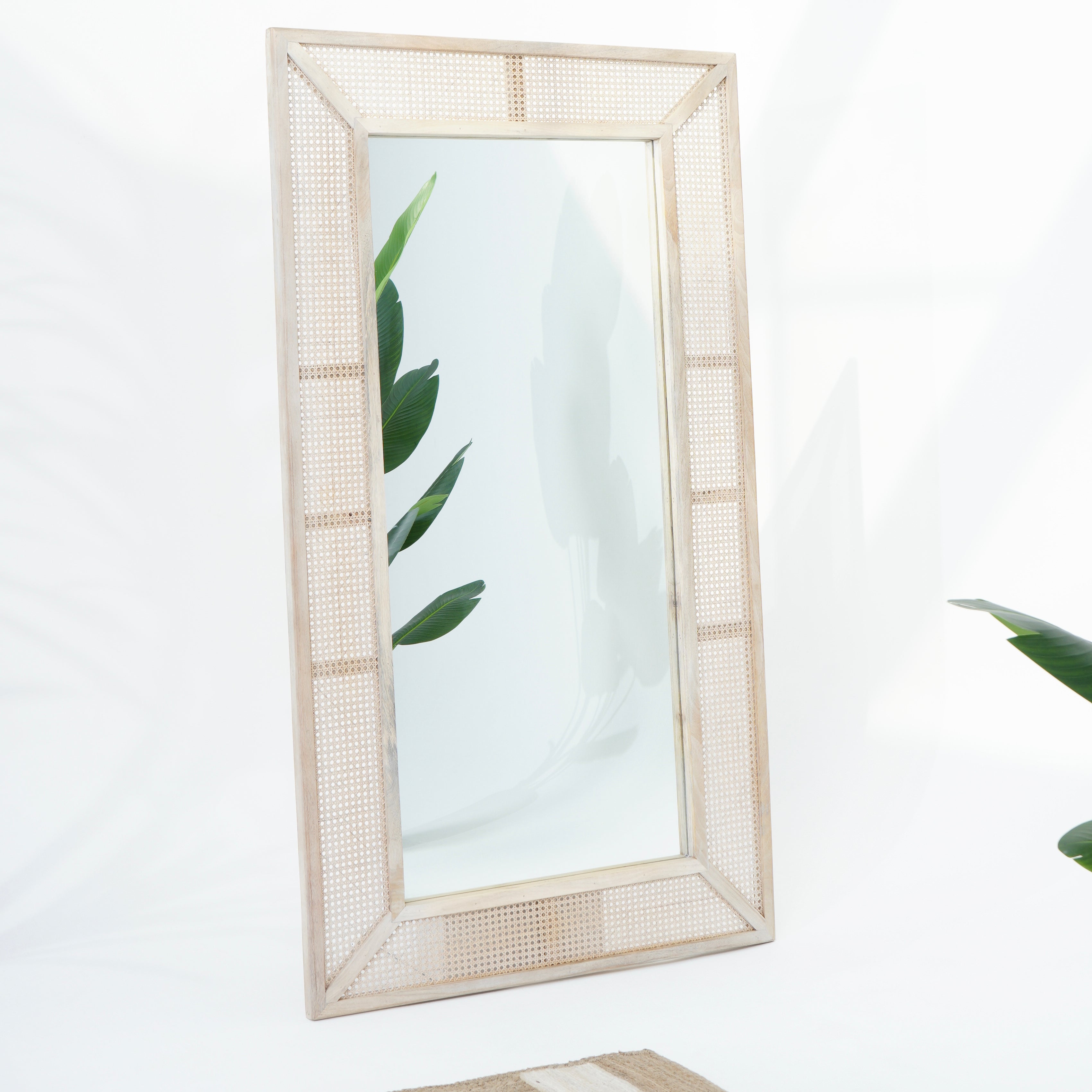 Parisian Elegance Cane Mirror Frame