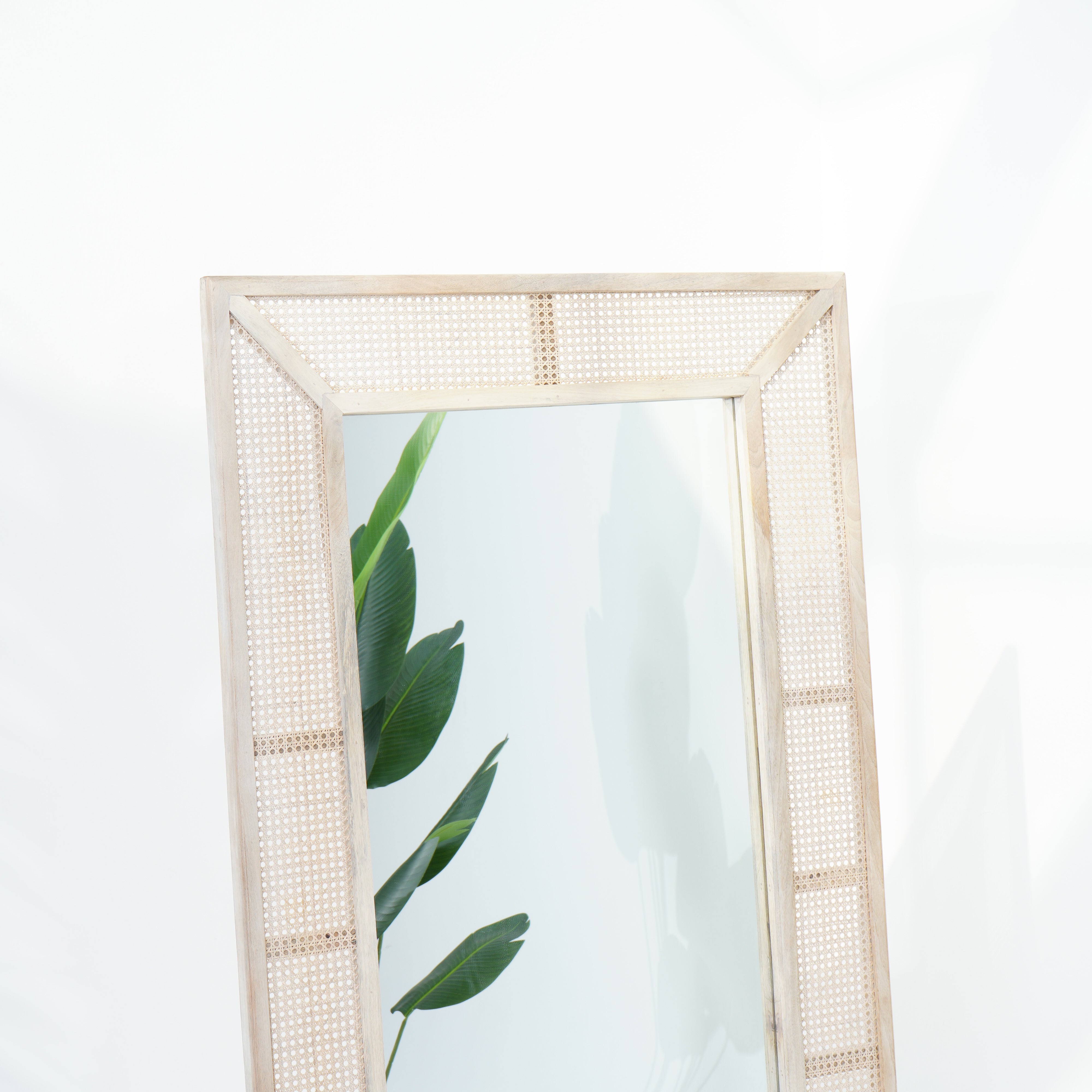 Parisian Elegance Cane Mirror Frame