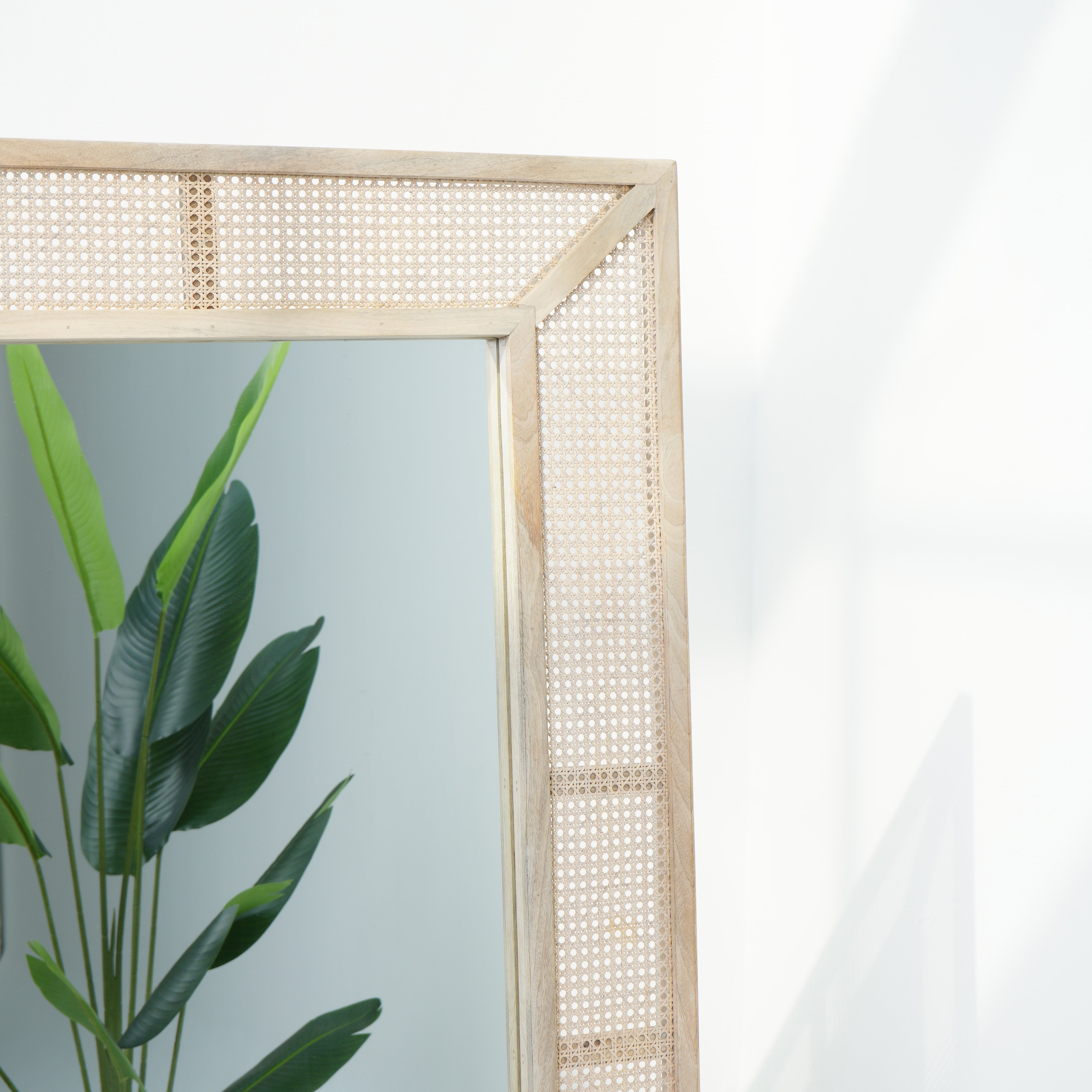 Parisian Elegance Cane Mirror Frame