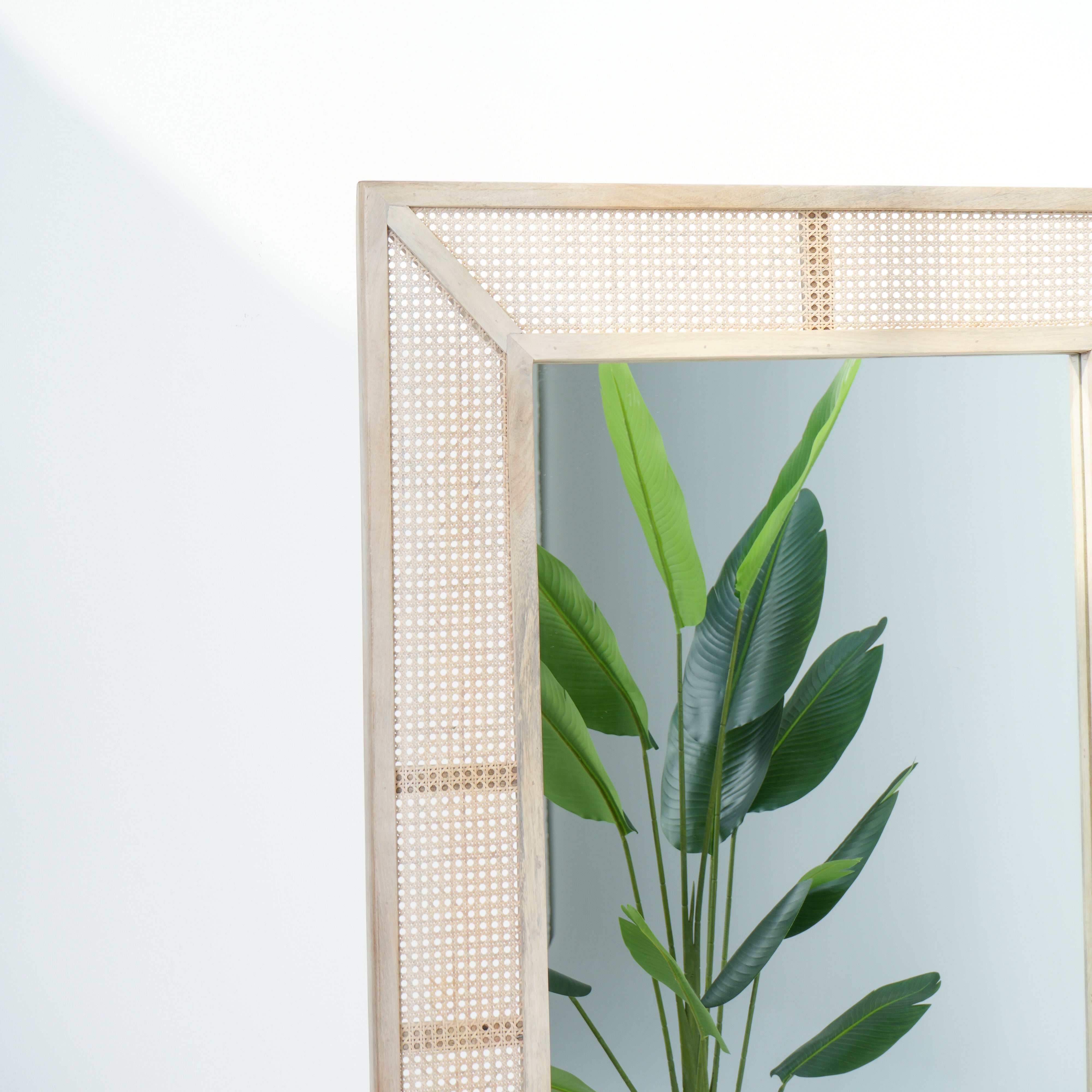 Parisian Elegance Cane Mirror Frame
