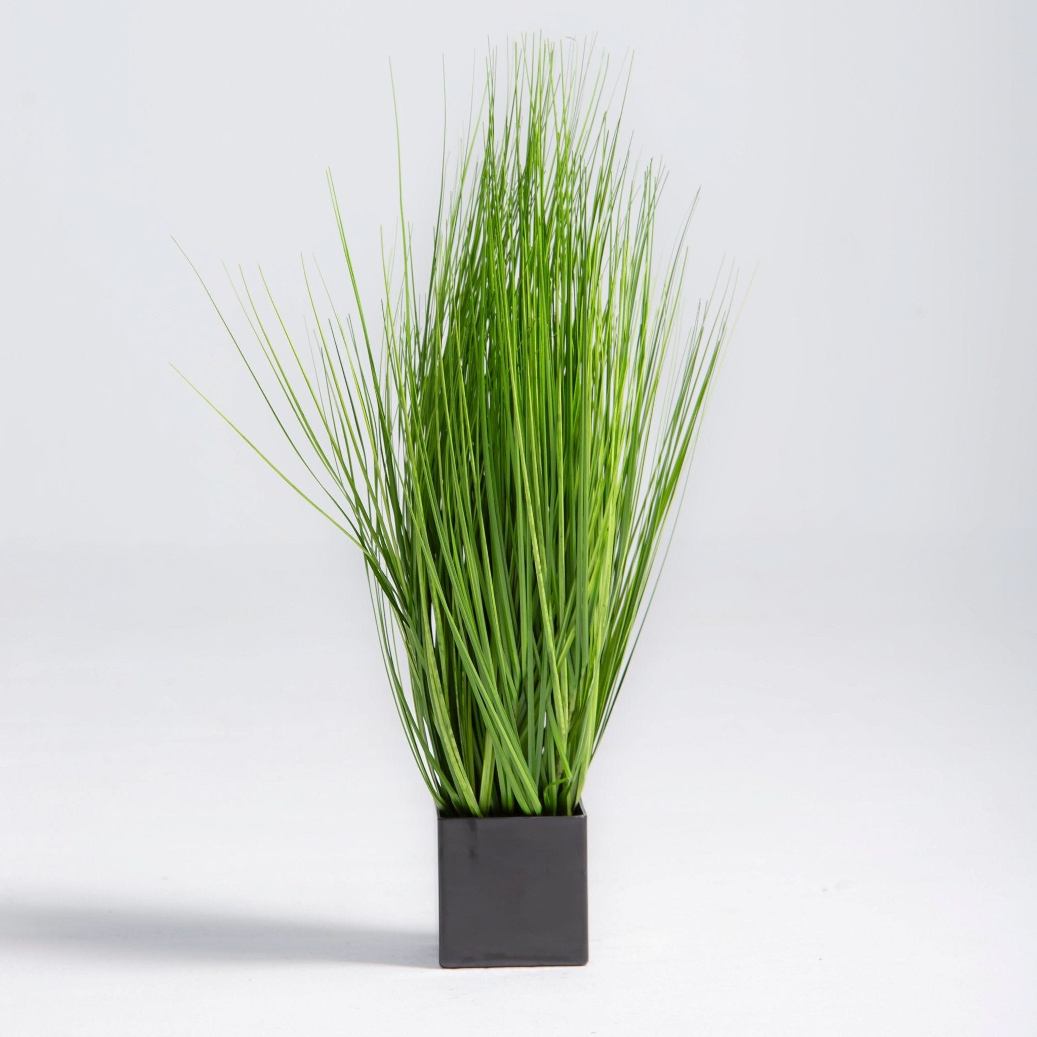 ARTIFICAL GRASS PLANT (70CM) - Art and craft furniture