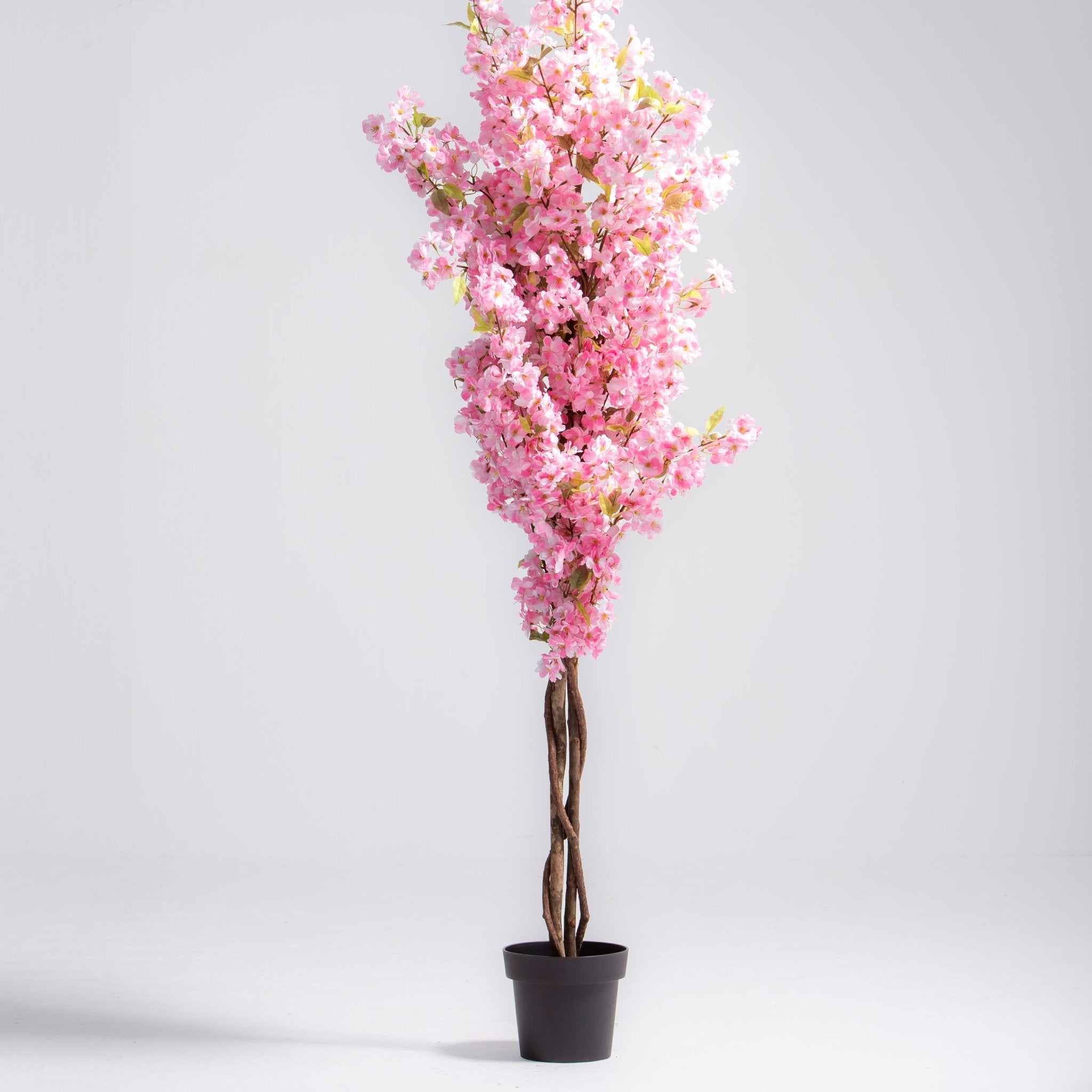 ARTIFICAL PINK CHERRY BLOSSOM PLANT (190CM) - Art and craft furniture