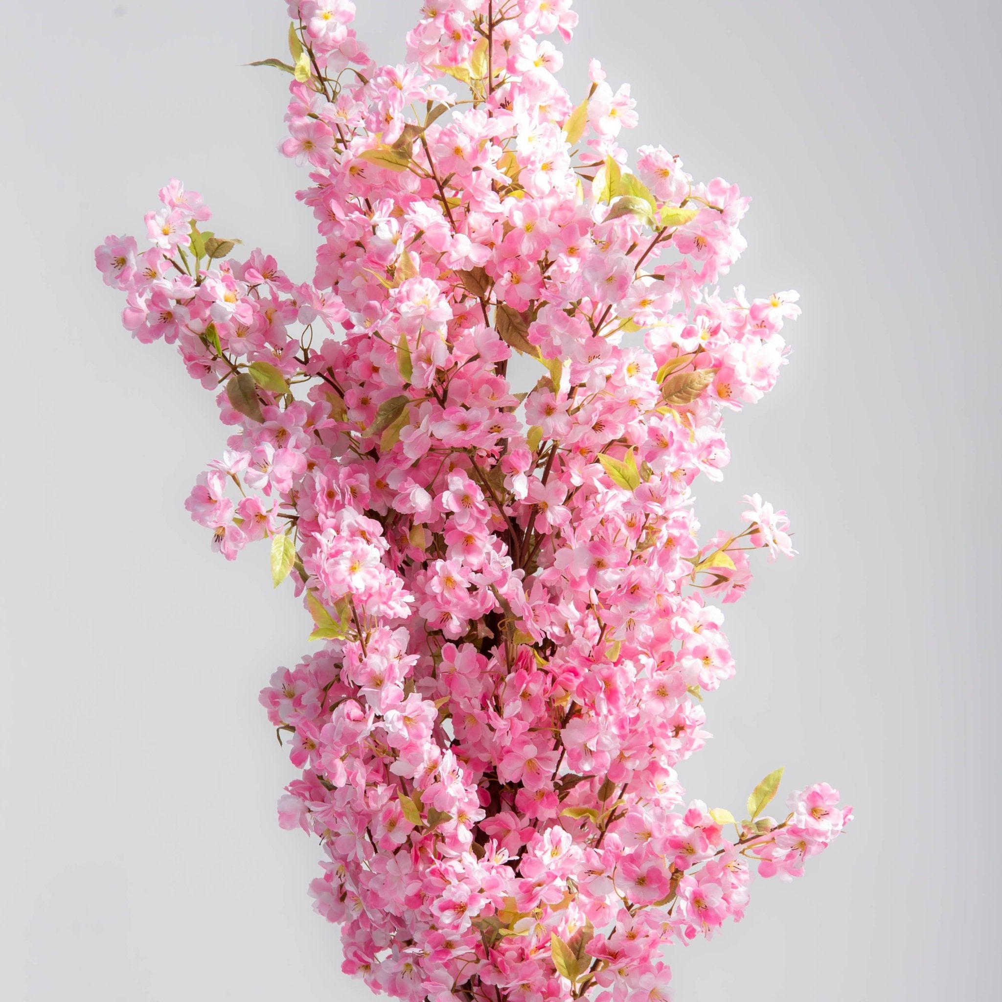 ARTIFICAL PINK CHERRY BLOSSOM PLANT (190CM) - Art and craft furniture