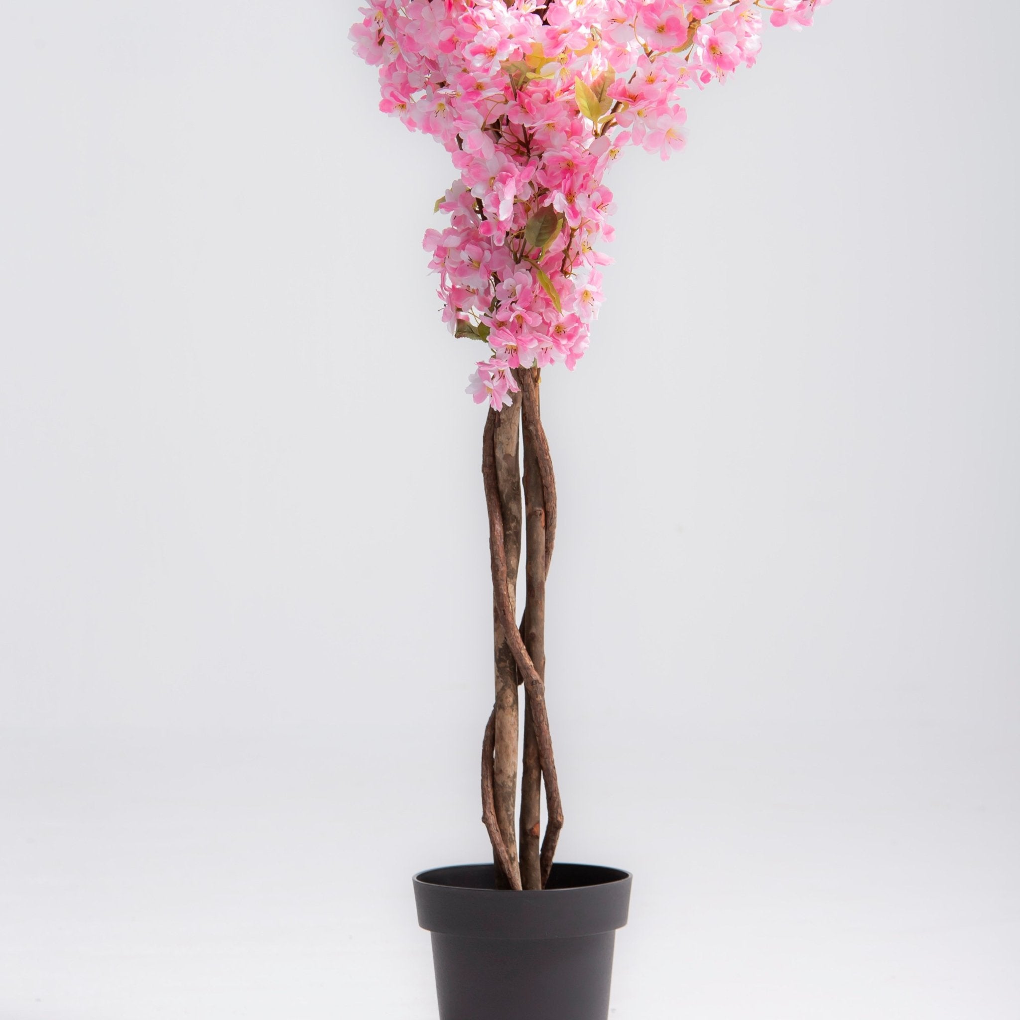 ARTIFICAL PINK CHERRY BLOSSOM PLANT (190CM) - Art and craft furniture