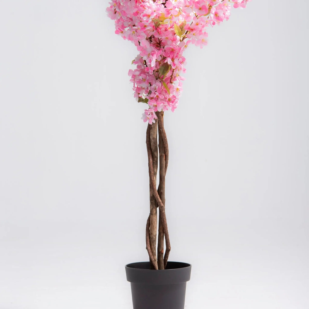Artificial Soft Pink Cherry Blossom Plant (190CM) - Art and craft furniture