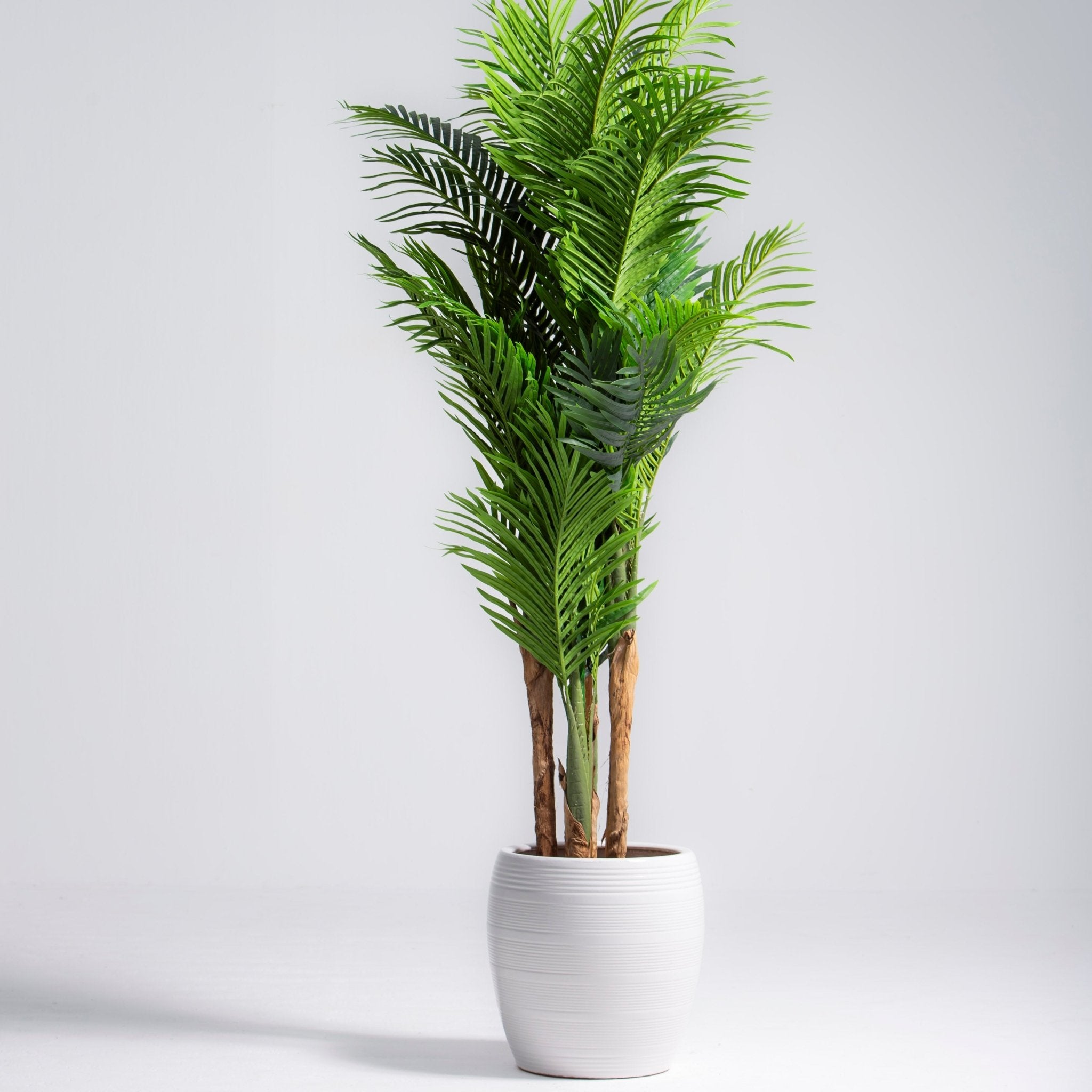 ARTIFICIAL ARECA PLANT (140CM) - Art and craft furniture