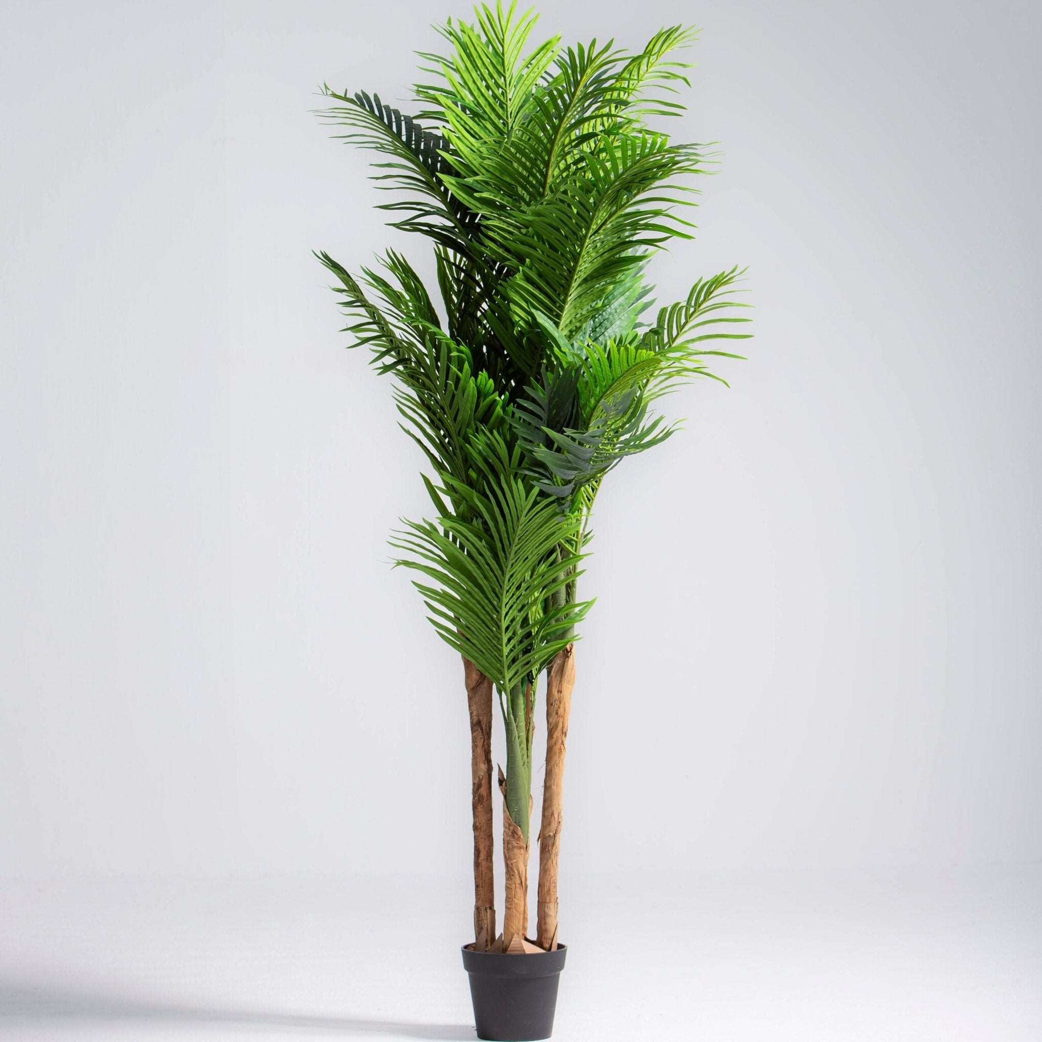 ARTIFICIAL ARECA PLANT (180CM) - Art and craft furniture