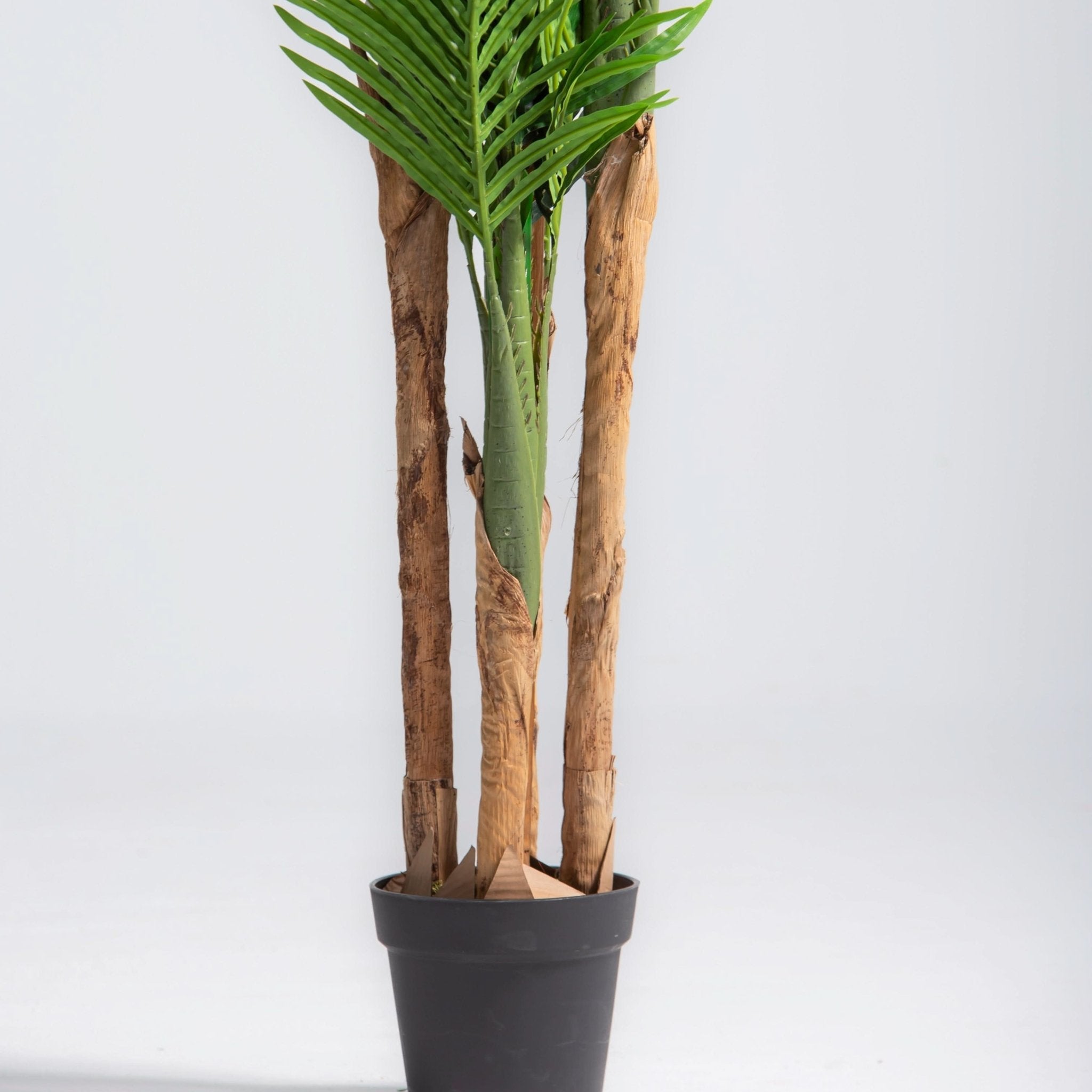 ARTIFICIAL ARECA PLANT (180CM) - Art and craft furniture
