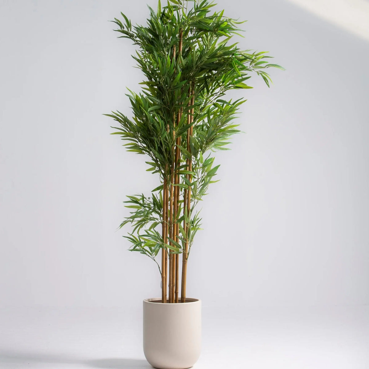Artificial Bamboo Cluster Plant (160 CM) - Art and craft furniture