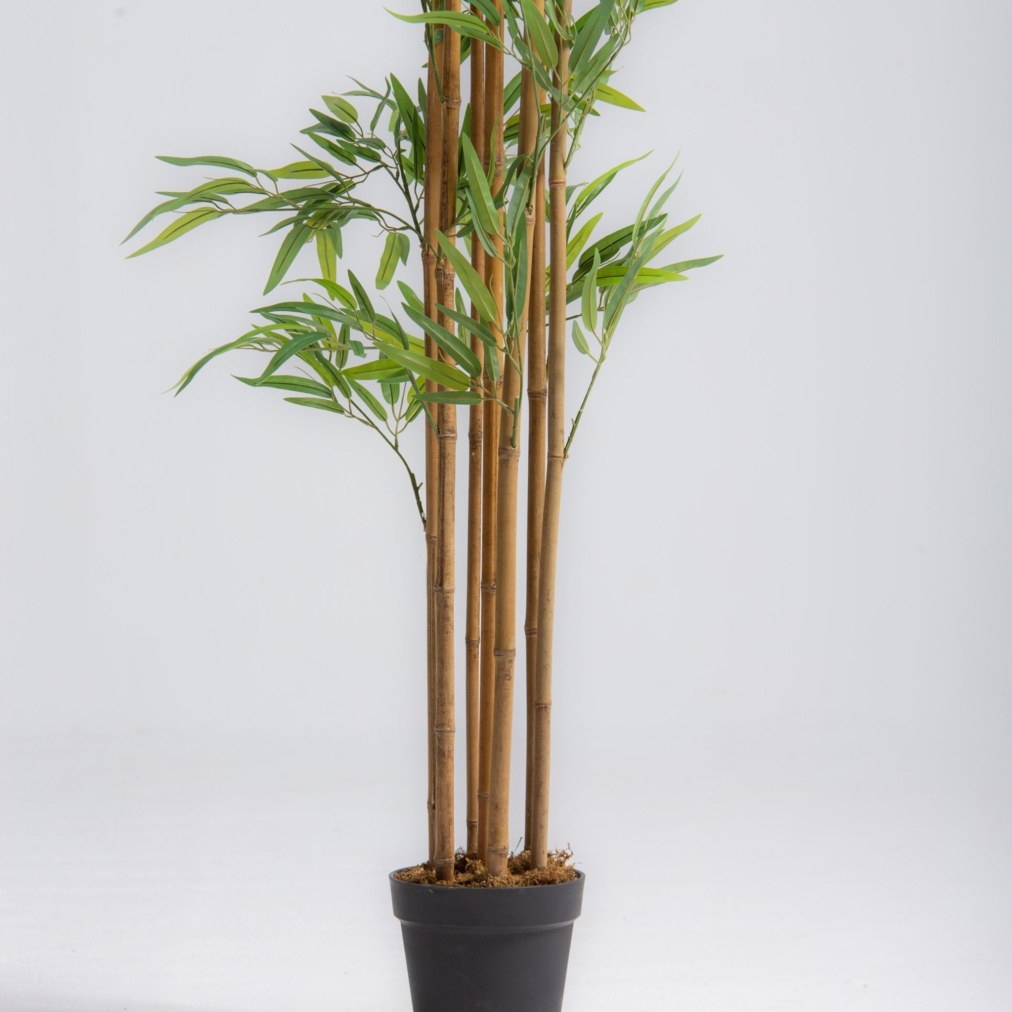 ARTIFICIAL BAMBOO CLUSTER PLANT (160 CM) - Art and craft furniture