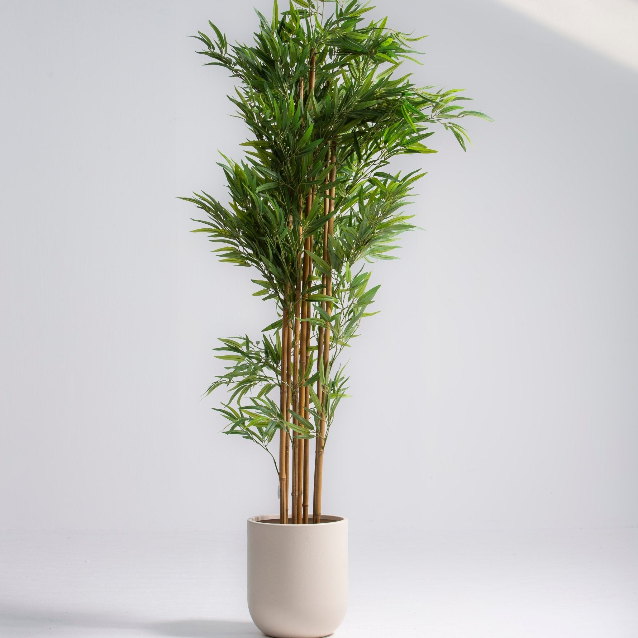 ARTIFICIAL BAMBOO CLUSTER PLANT (220 CM) - Art and craft furniture