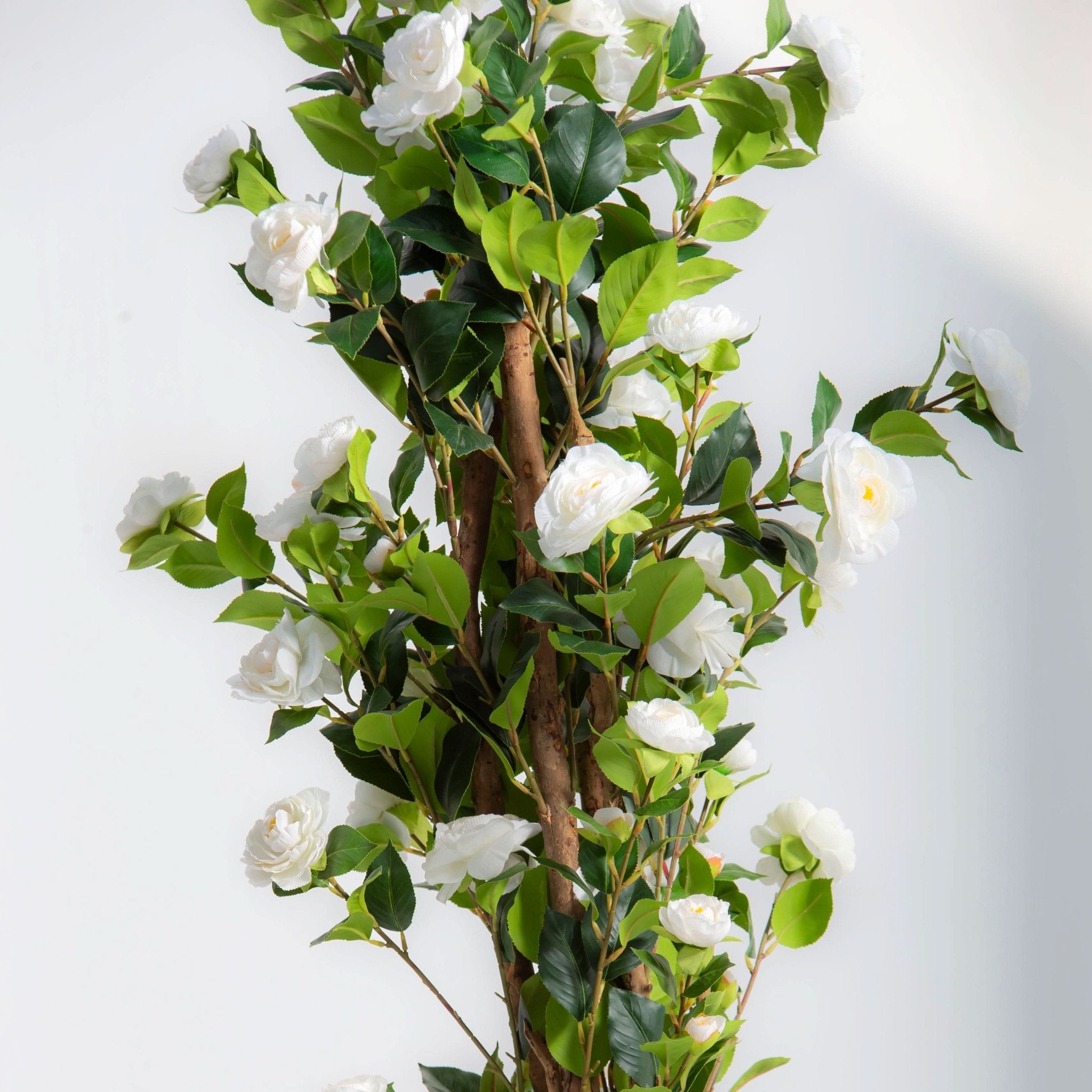 ARTIFICIAL CAMELLIA PLANT (180CM) - Art and craft furniture