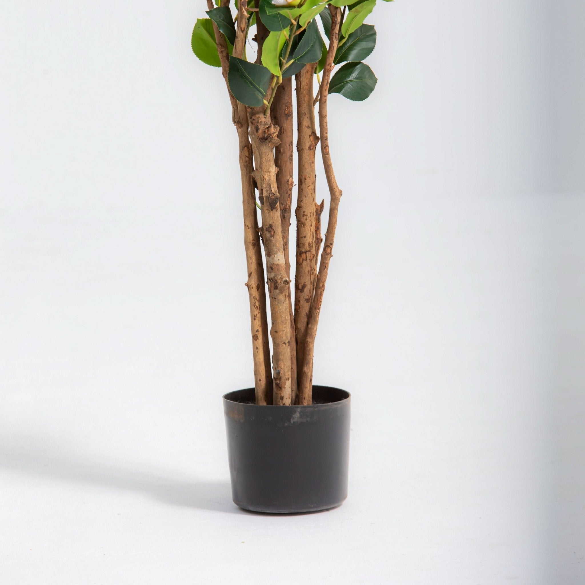 ARTIFICIAL CAMELLIA PLANT (180CM) - Art and craft furniture
