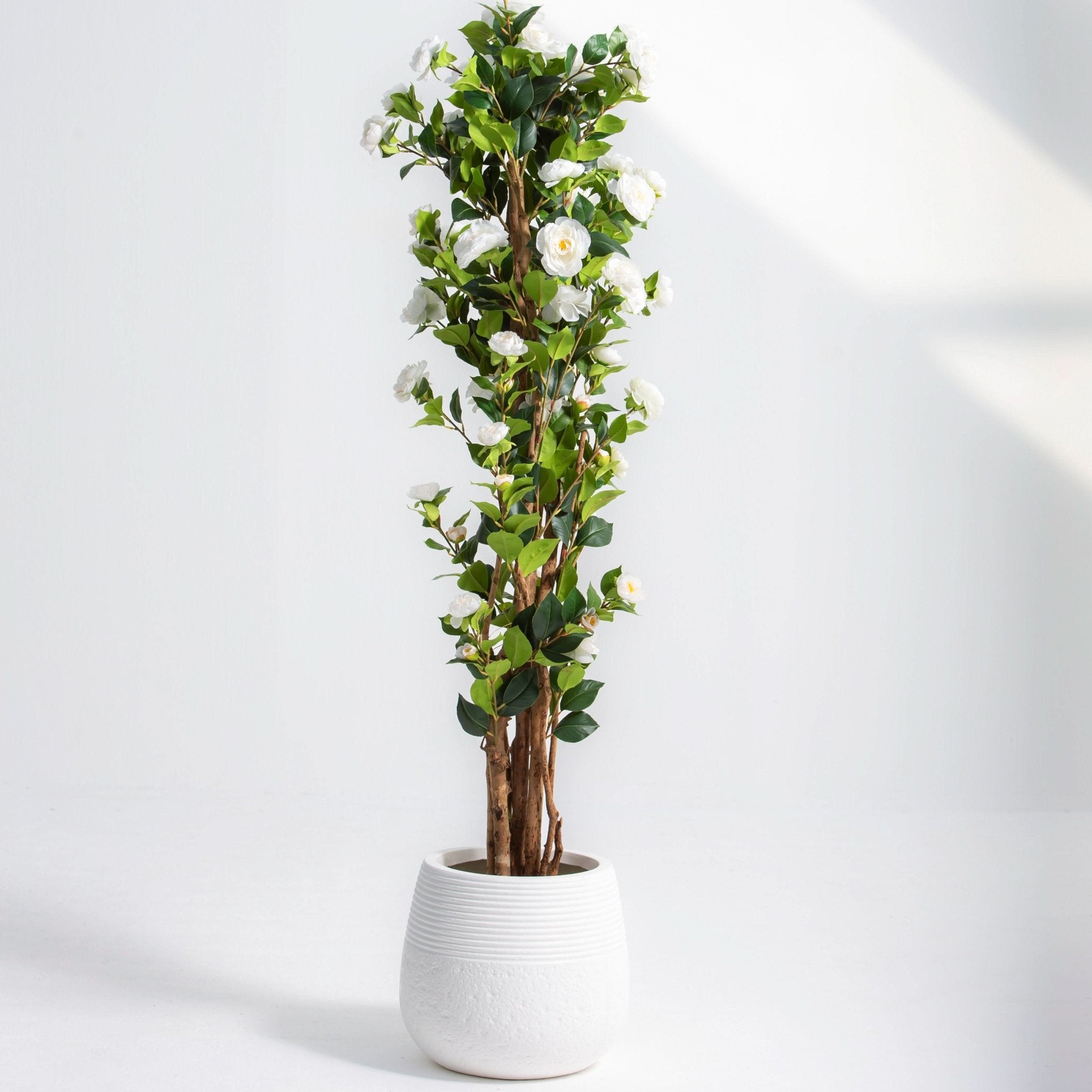 ARTIFICIAL CAMELLIA PLANT (180CM) - Art and craft furniture