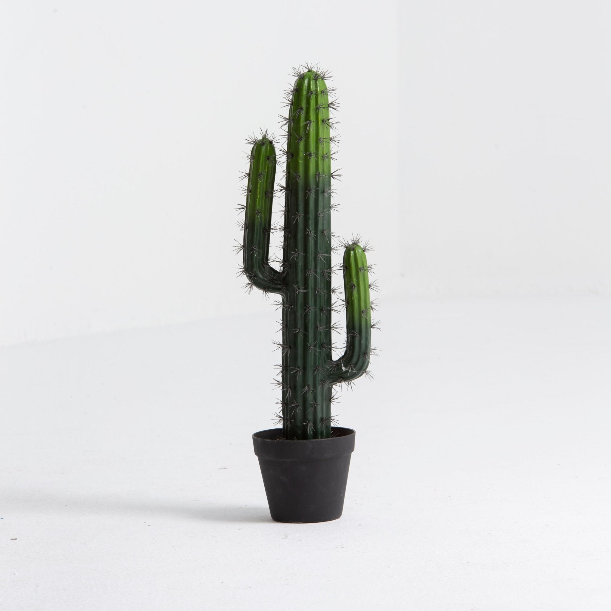 Artificial Classic Cactus Small Plant - Art and craft furniture