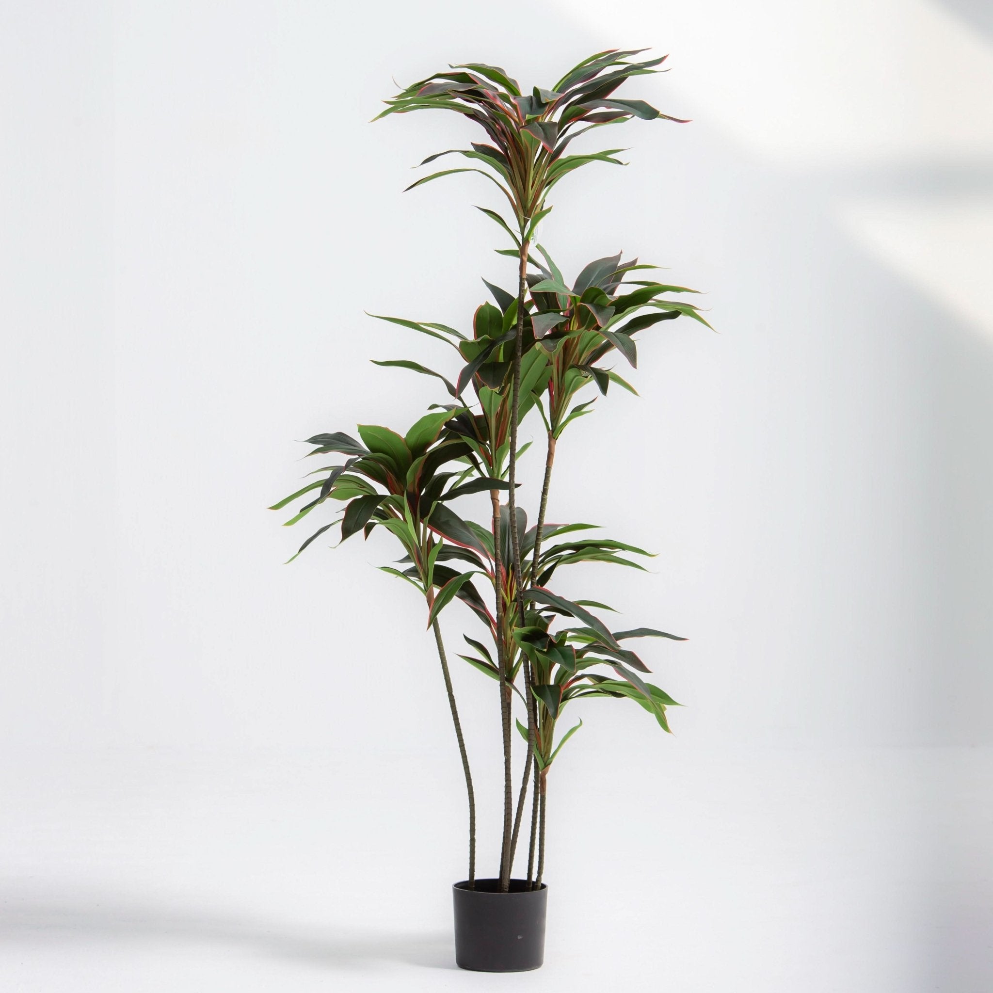 ARTIFICIAL CORDYLINE PLANT (153CM) - Art and craft furniture