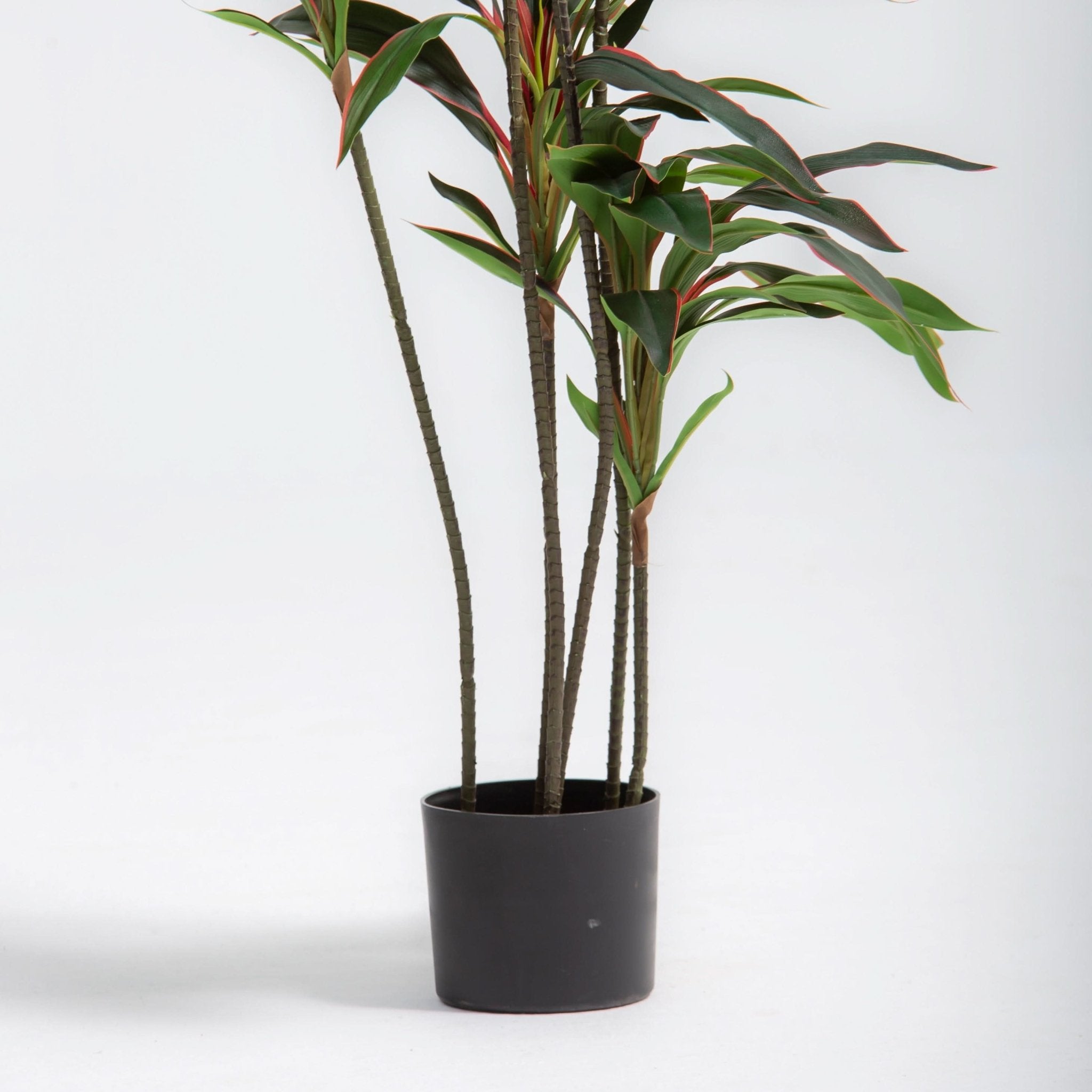ARTIFICIAL CORDYLINE PLANT (153CM) - Art and craft furniture