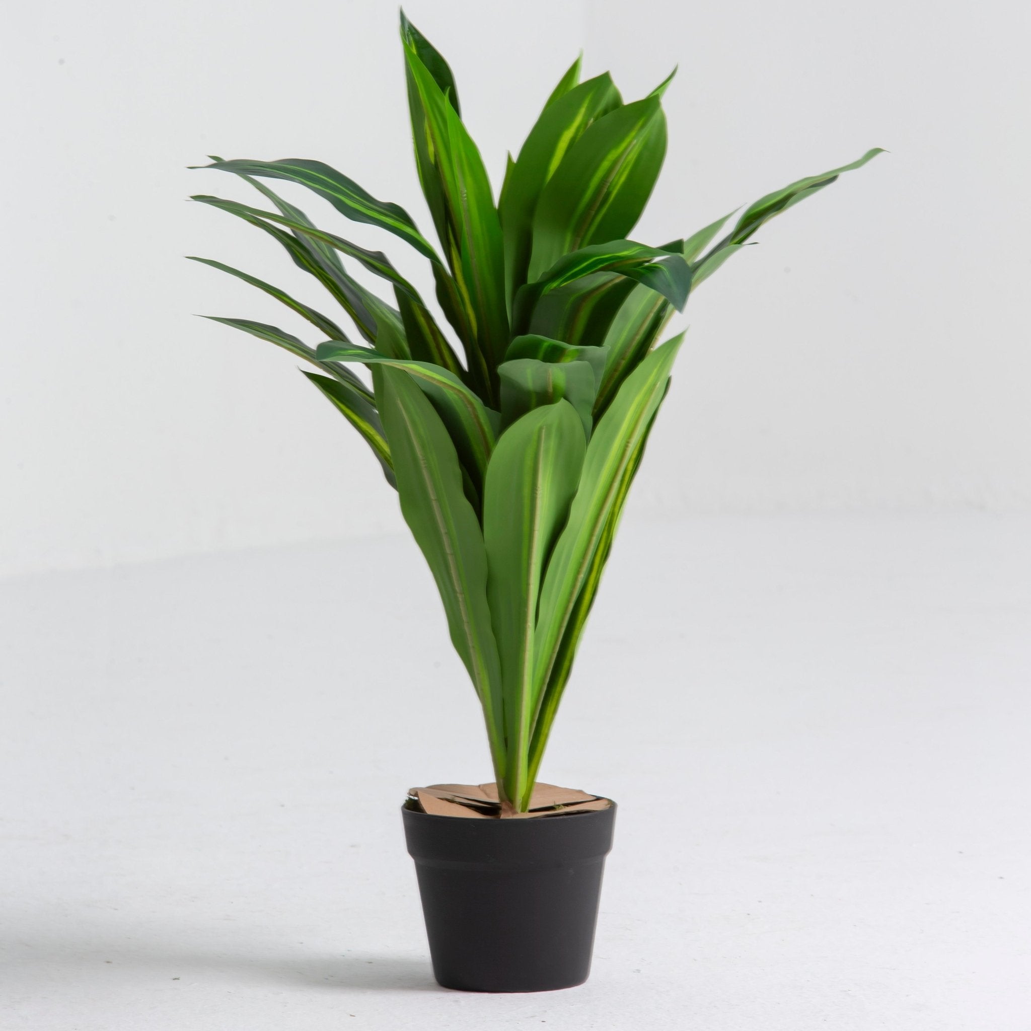Artificial Crown Stem Plant - Art and craft furniture