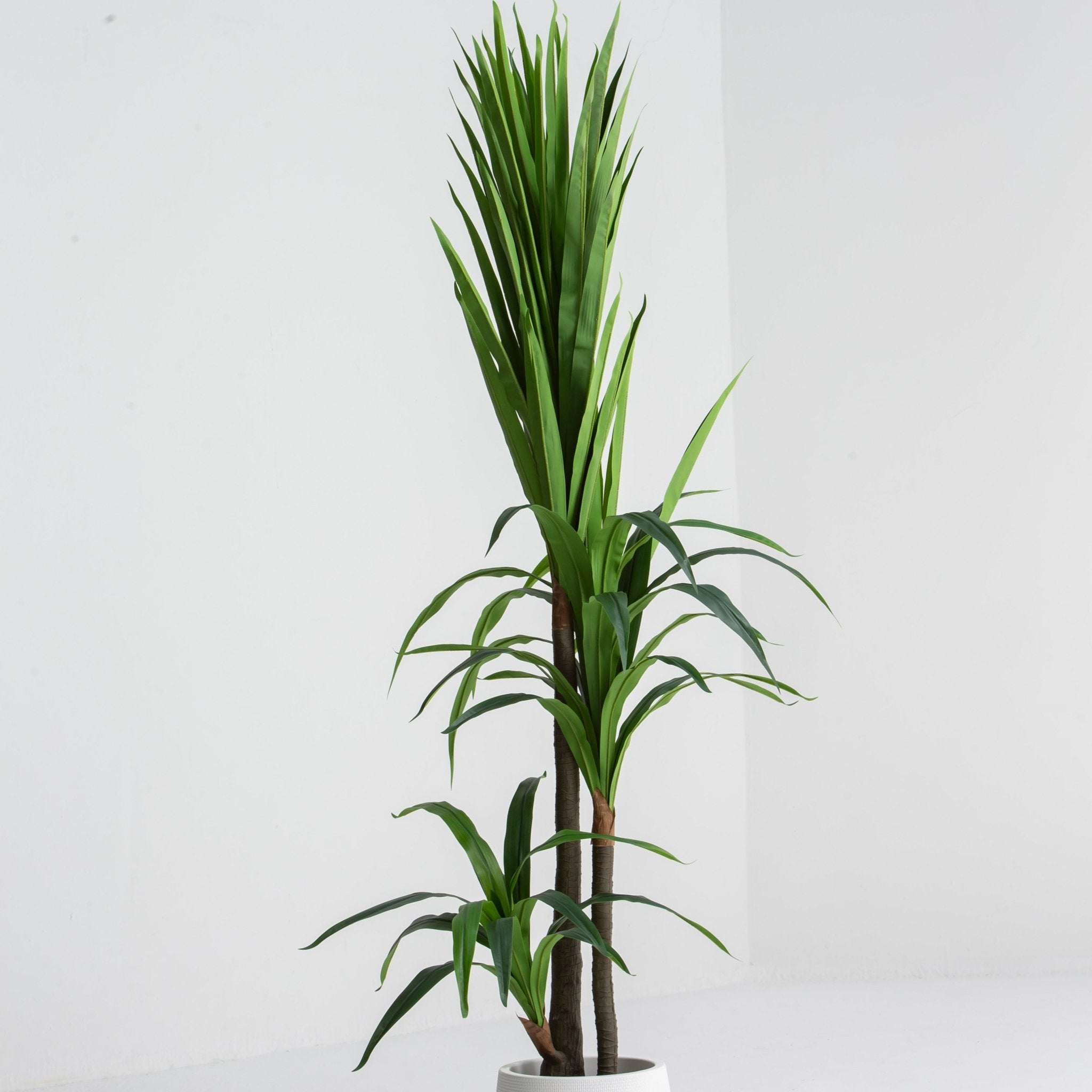 ARTIFICIAL DRACAENA GREEN PLANT (190CM) - Art and craft furniture