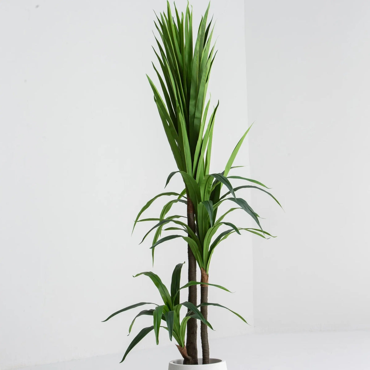 Artificial Dracaena Green Plant (190CM) - Art and craft furniture