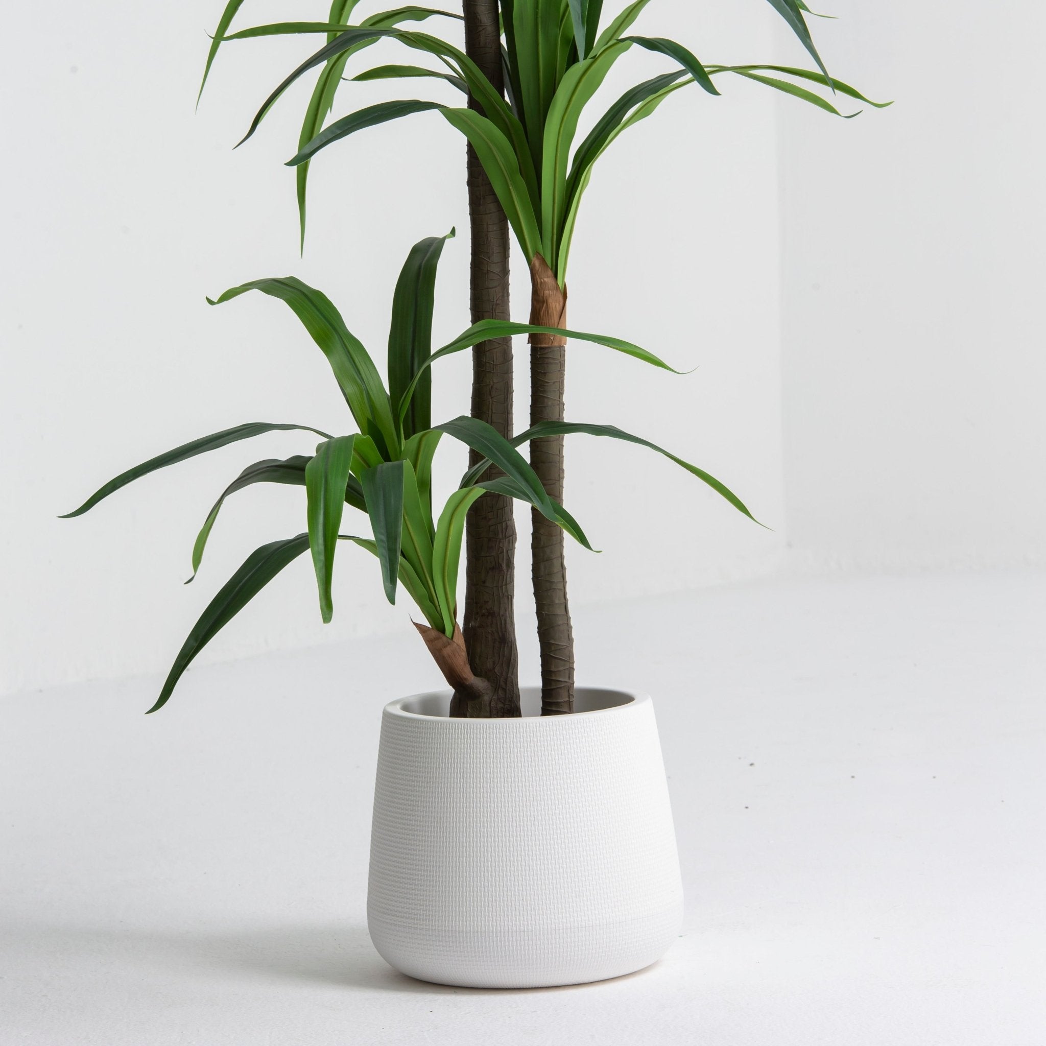 ARTIFICIAL DRACAENA GREEN PLANT (190CM) - Art and craft furniture
