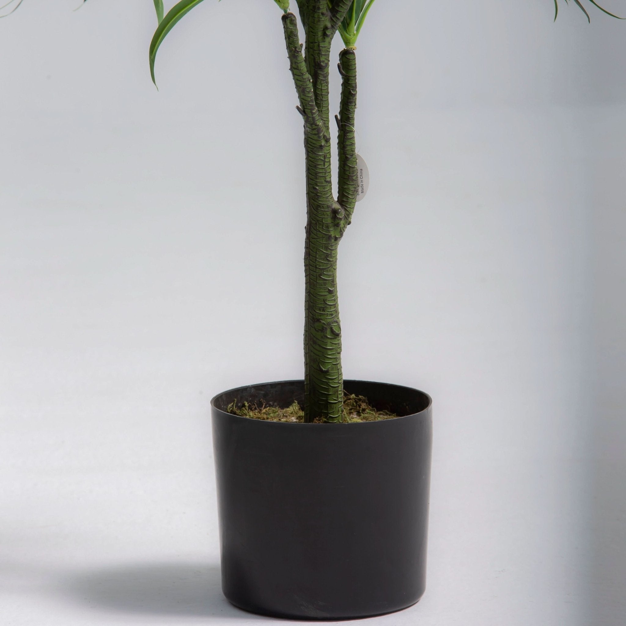ARTIFICIAL DRACAENA LUSH PLANT (120CM) - Art and craft furniture