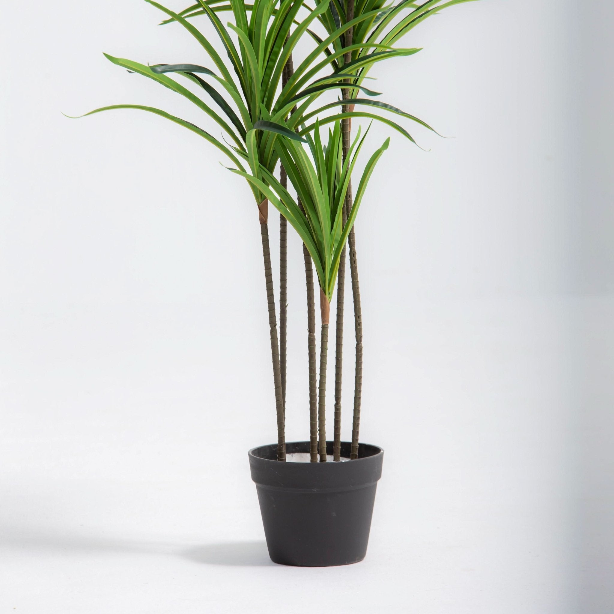 ARTIFICIAL DRACAENA PLANT (153CM) - Art and craft furniture