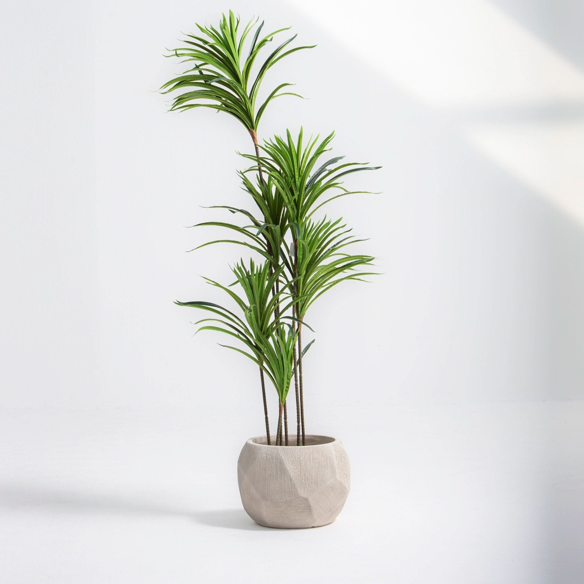 ARTIFICIAL DRACAENA PLANT (153CM) - Art and craft furniture