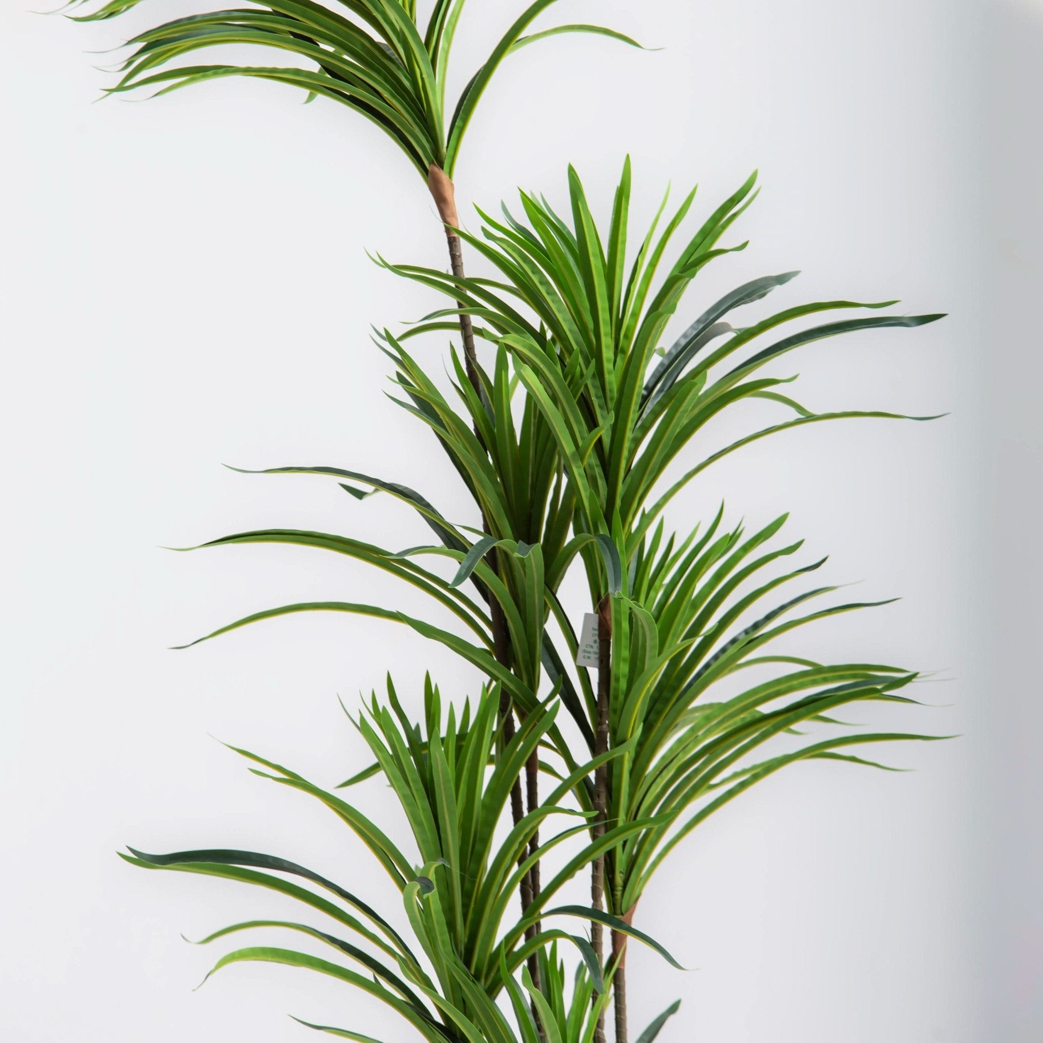 ARTIFICIAL DRACAENA PLANT (153CM) - Art and craft furniture