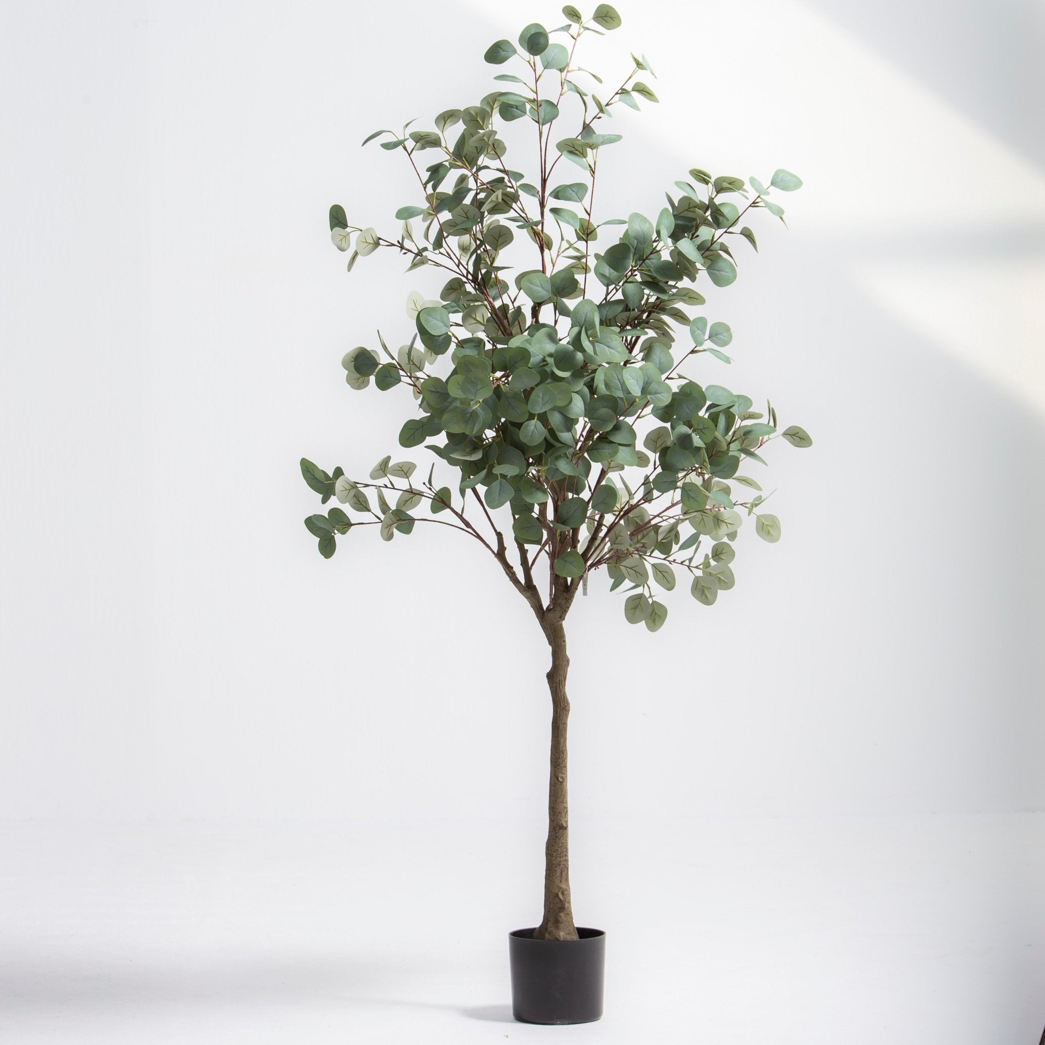 ARTIFICIAL EUCALYPTUS CINEREA PLANT (170CM) - Art and craft furniture