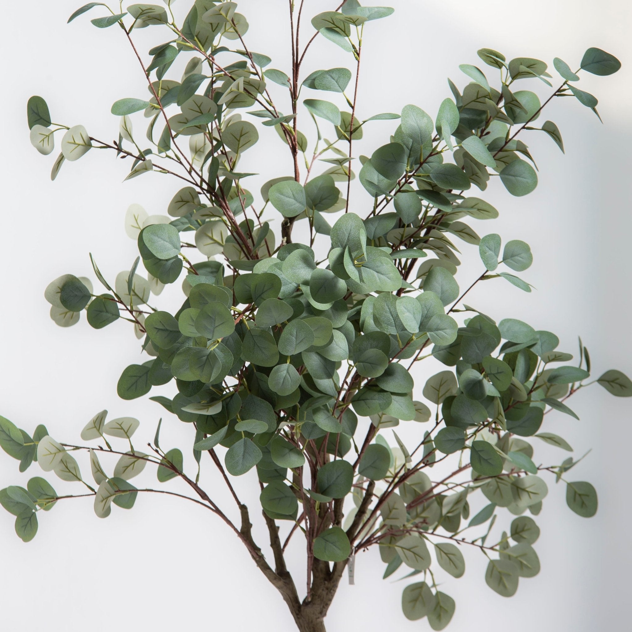 ARTIFICIAL EUCALYPTUS CINEREA PLANT (170CM) - Art and craft furniture