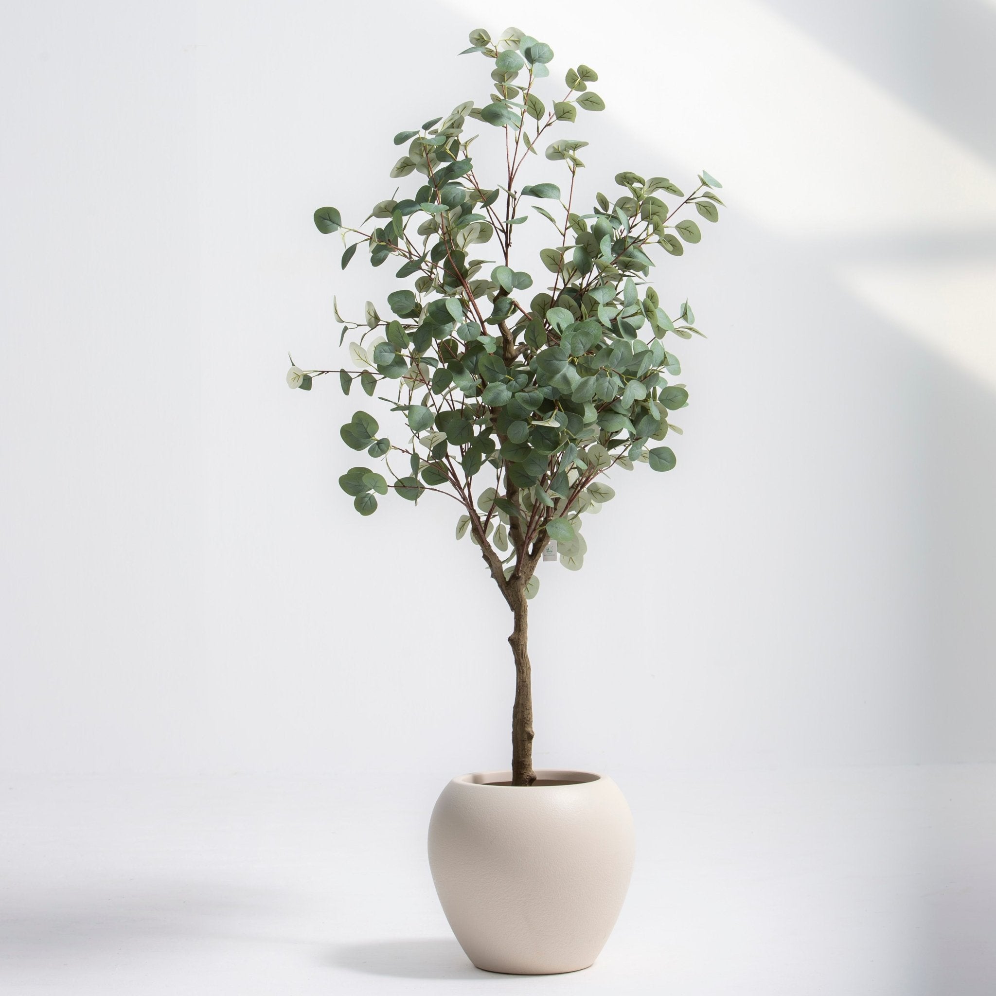 ARTIFICIAL EUCALYPTUS CINEREA PLANT (170CM) - Art and craft furniture