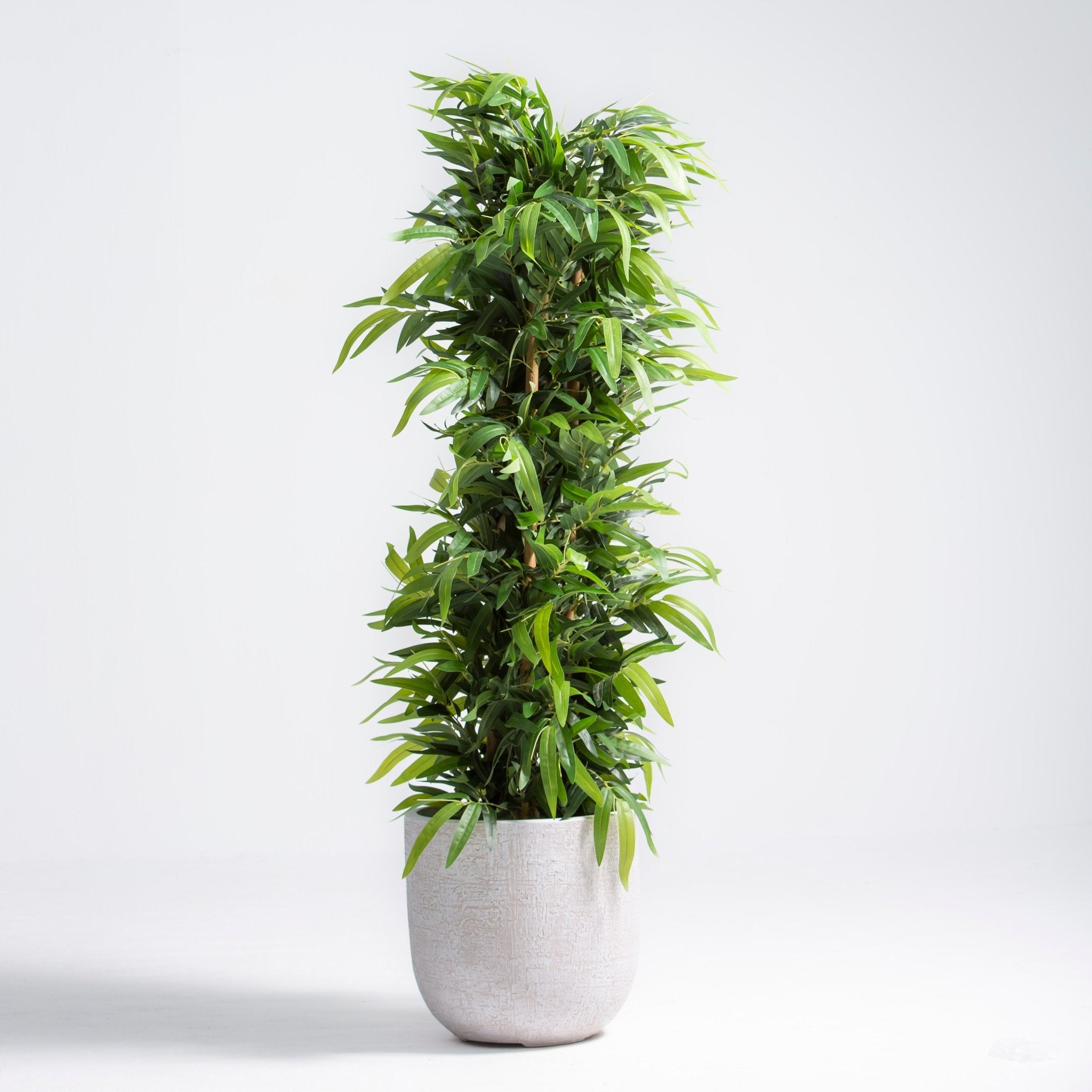 ARTIFICIAL FICUS PLANT (150CM) - Art and craft furniture