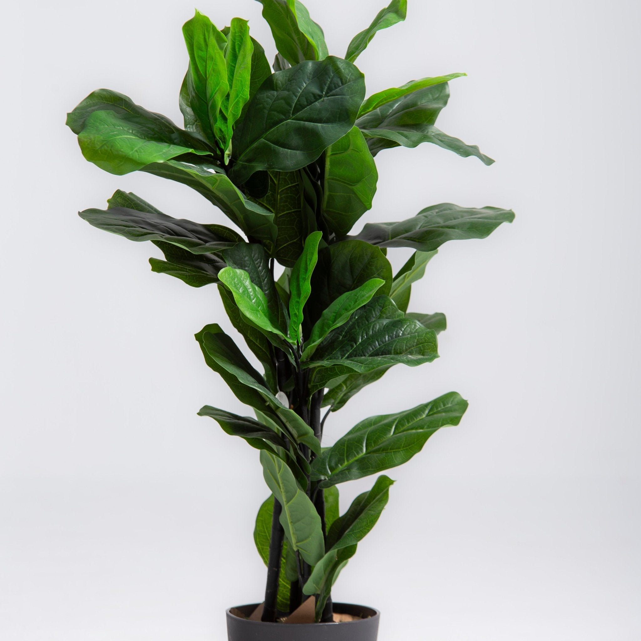 Artificial Fiddle Leaf Fig Plant (100CM) - Art and craft furniture