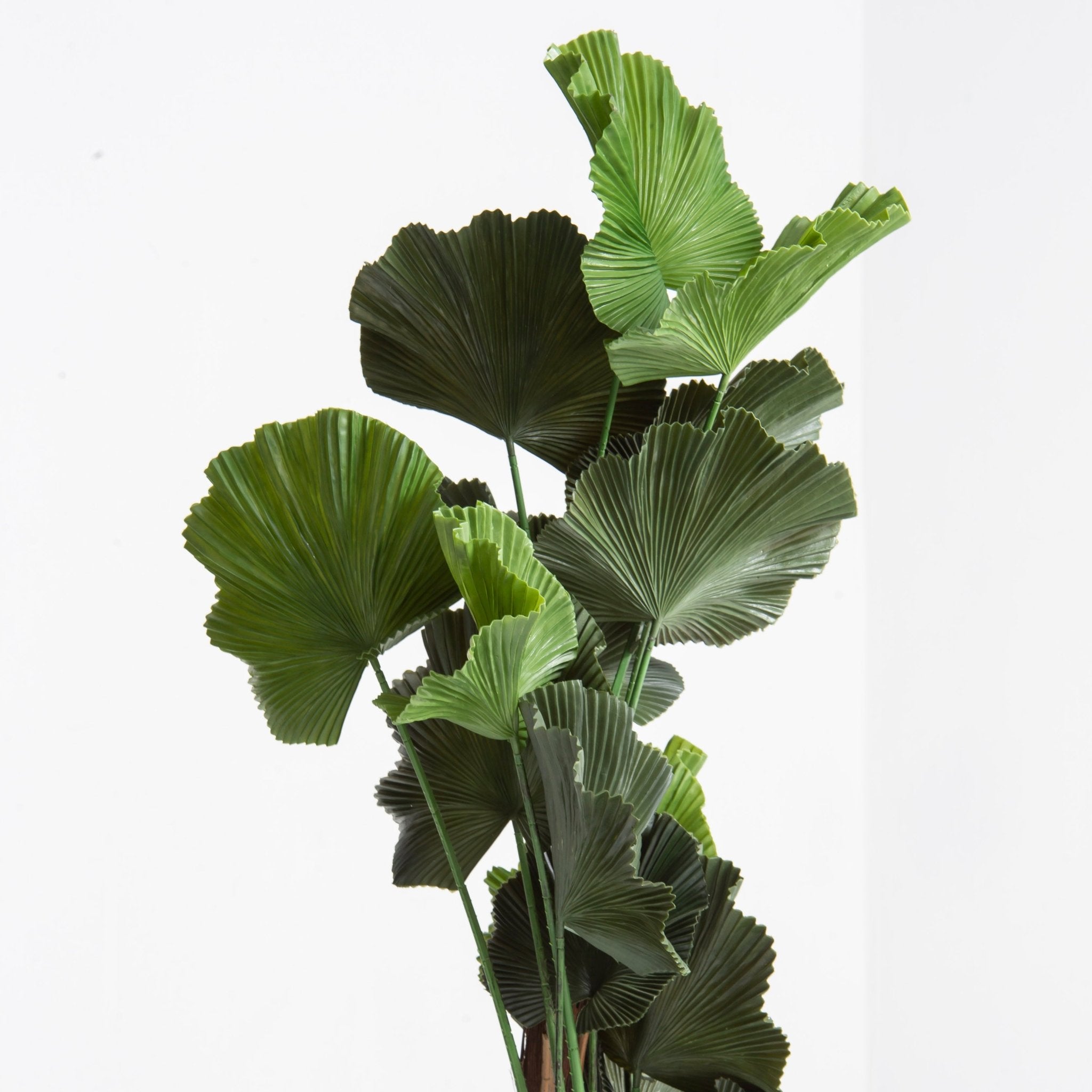 ARTIFICIAL FIDDLE LEAF FIG PLANT (150) - Art and craft furniture