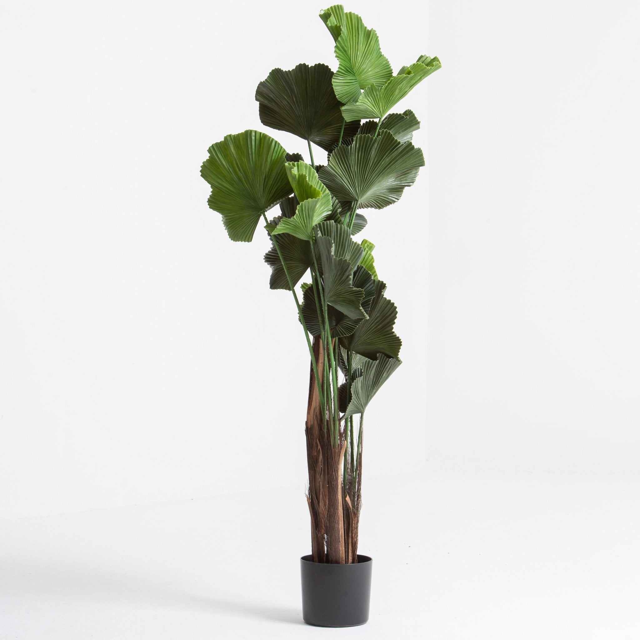 ARTIFICIAL FIDDLE LEAF FIG PLANT (150) - Art and craft furniture